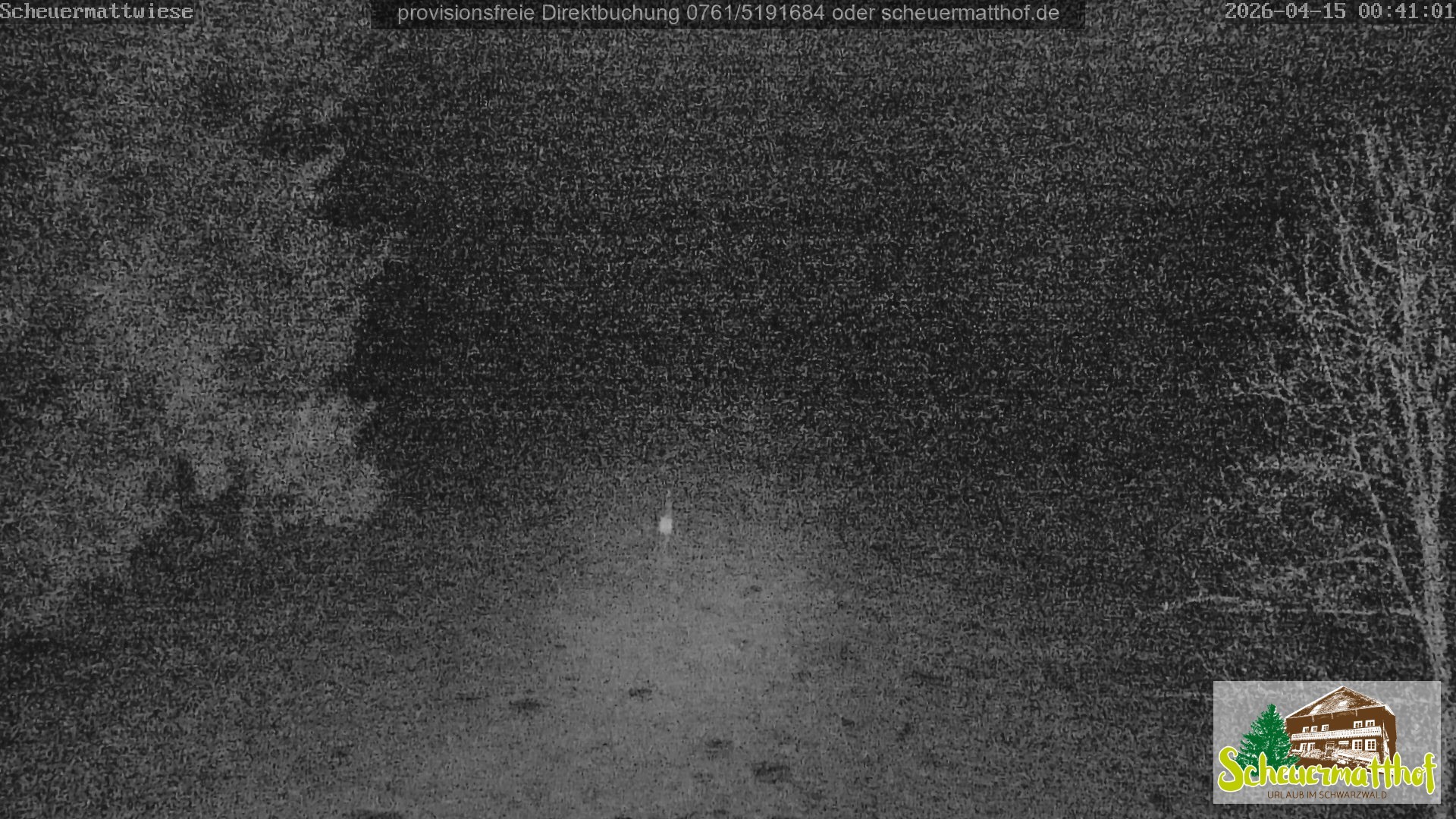 Archived image Webcam Todtnauberg - Scheuermatthof