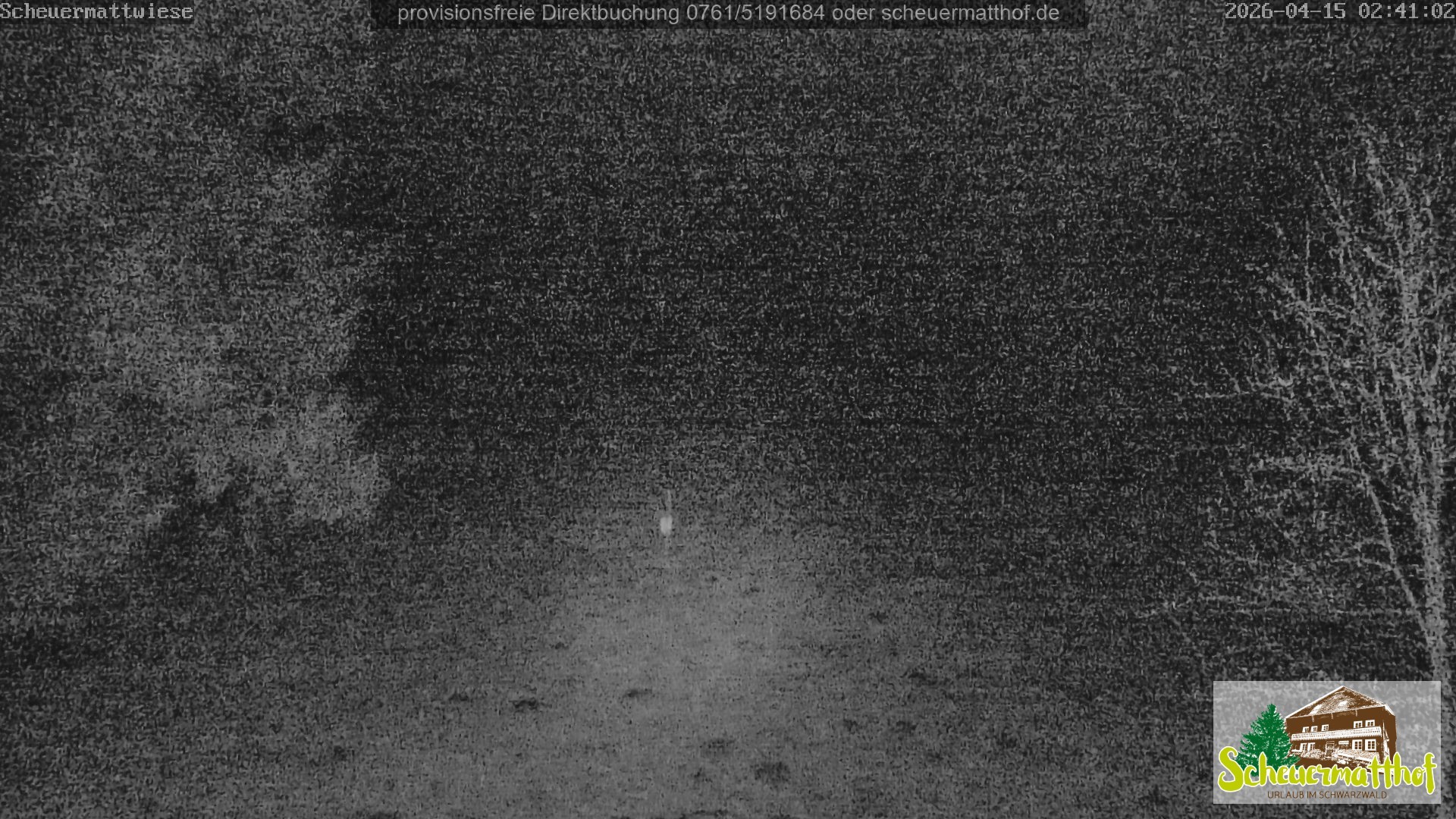 Archived image Webcam Todtnauberg - Scheuermatthof