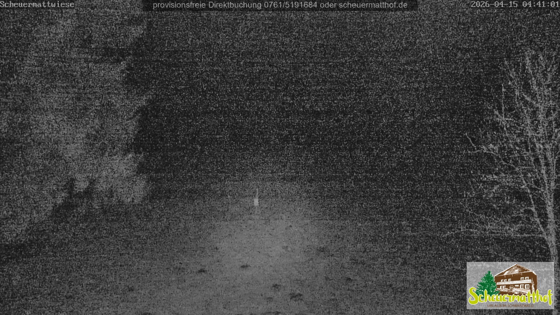 Archived image Webcam Todtnauberg - Scheuermatthof