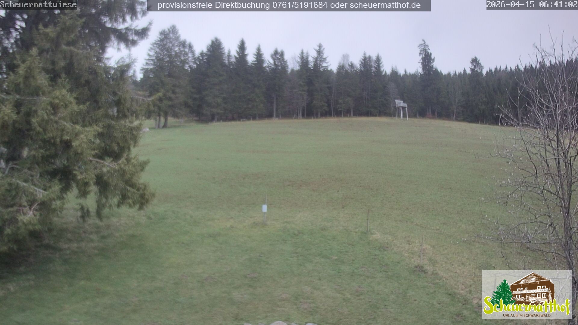 Archived image Webcam Todtnauberg - Scheuermatthof