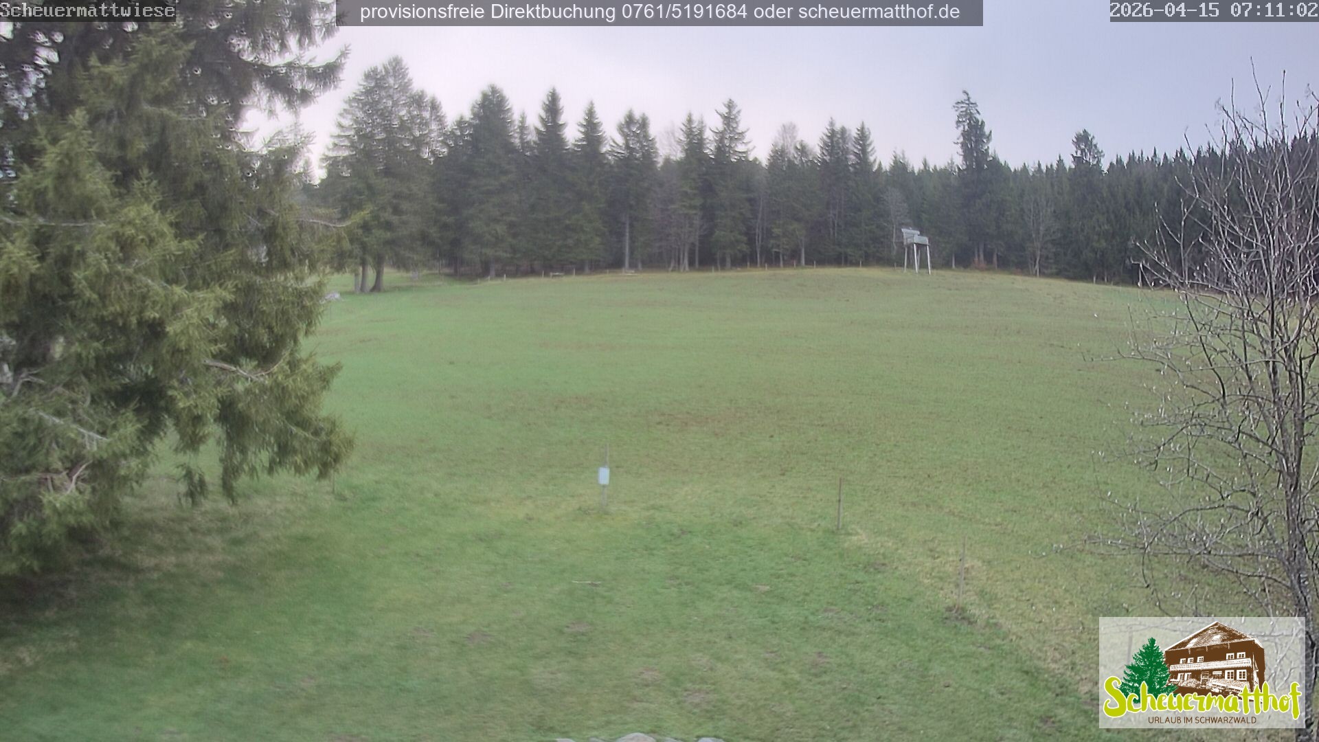 Archived image Webcam Todtnauberg - Scheuermatthof