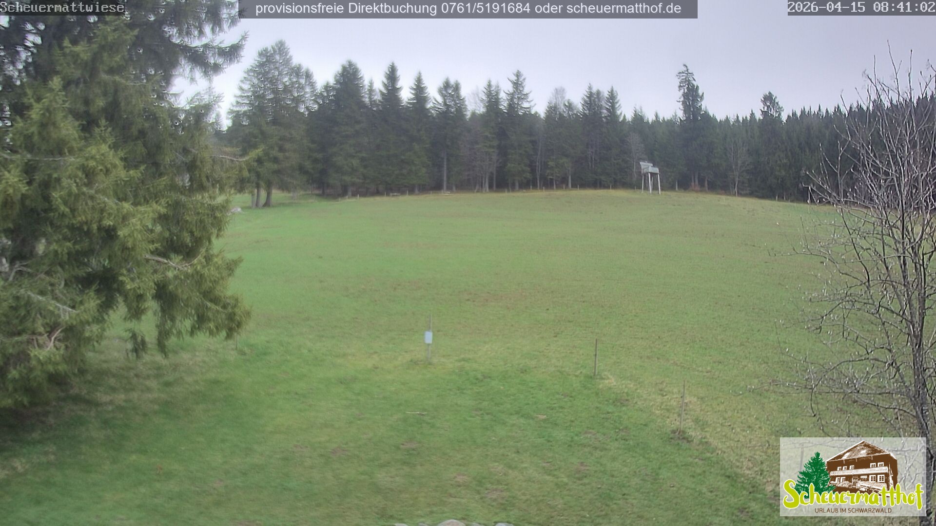 Archived image Webcam Todtnauberg - Scheuermatthof