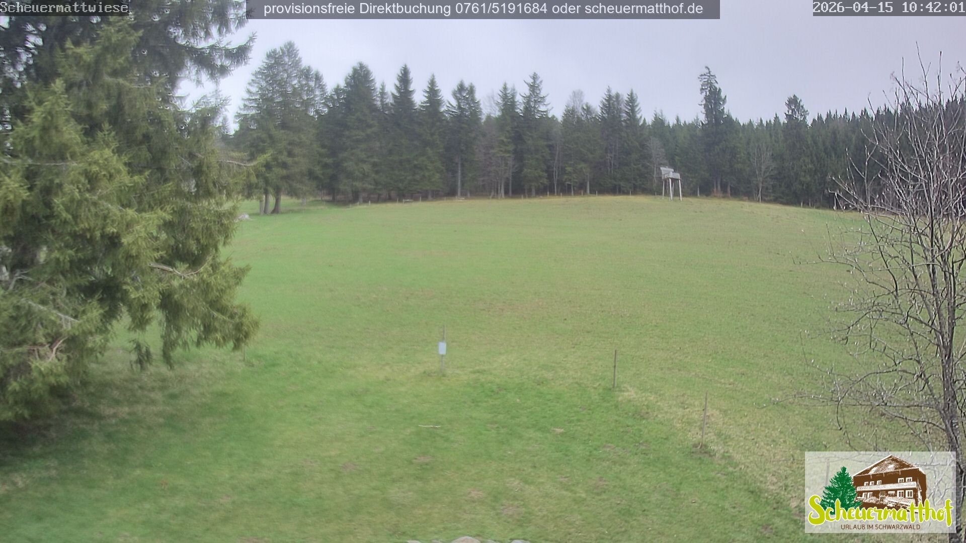 Archived image Webcam Todtnauberg - Scheuermatthof