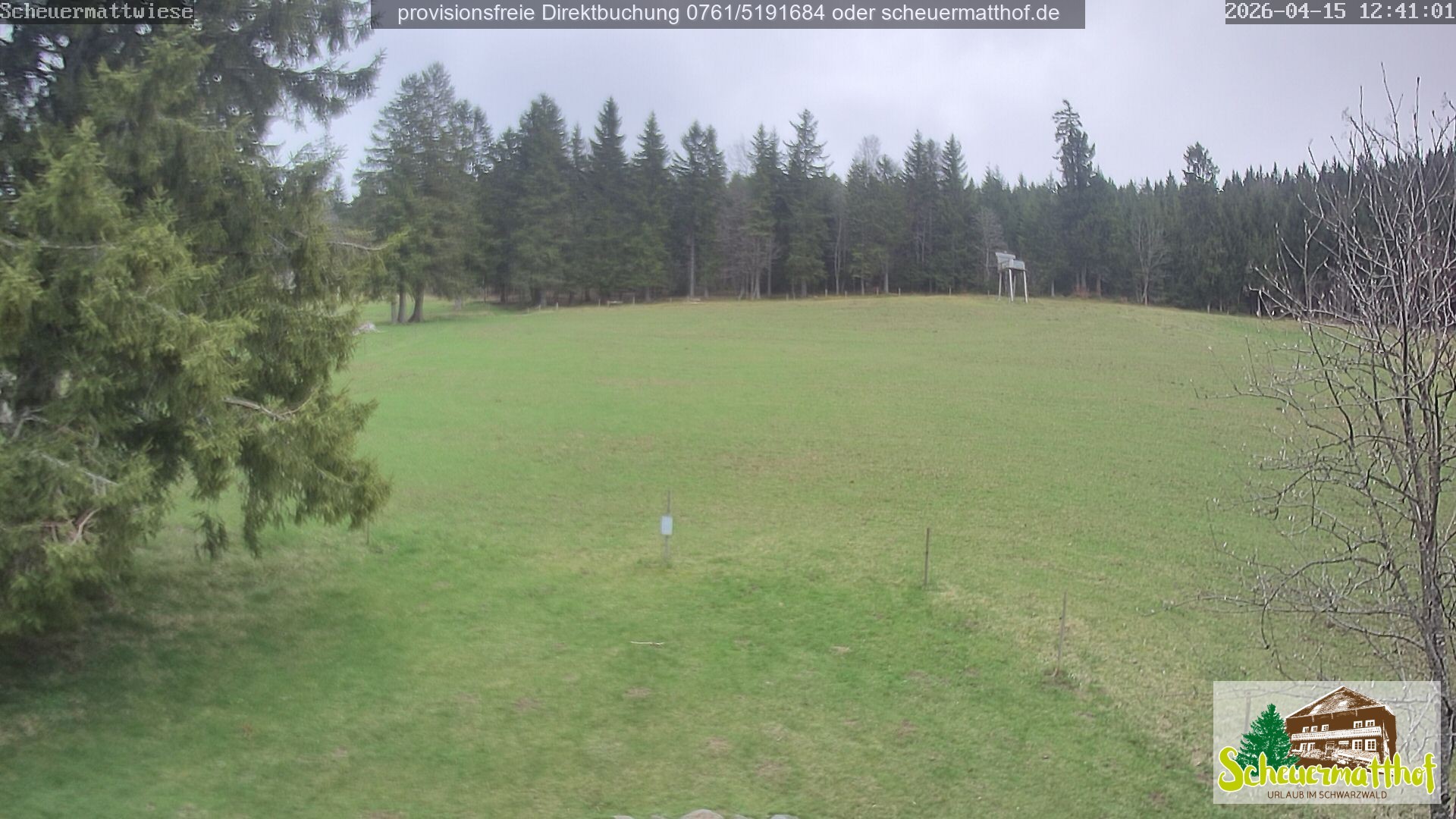 Archived image Webcam Todtnauberg - Scheuermatthof