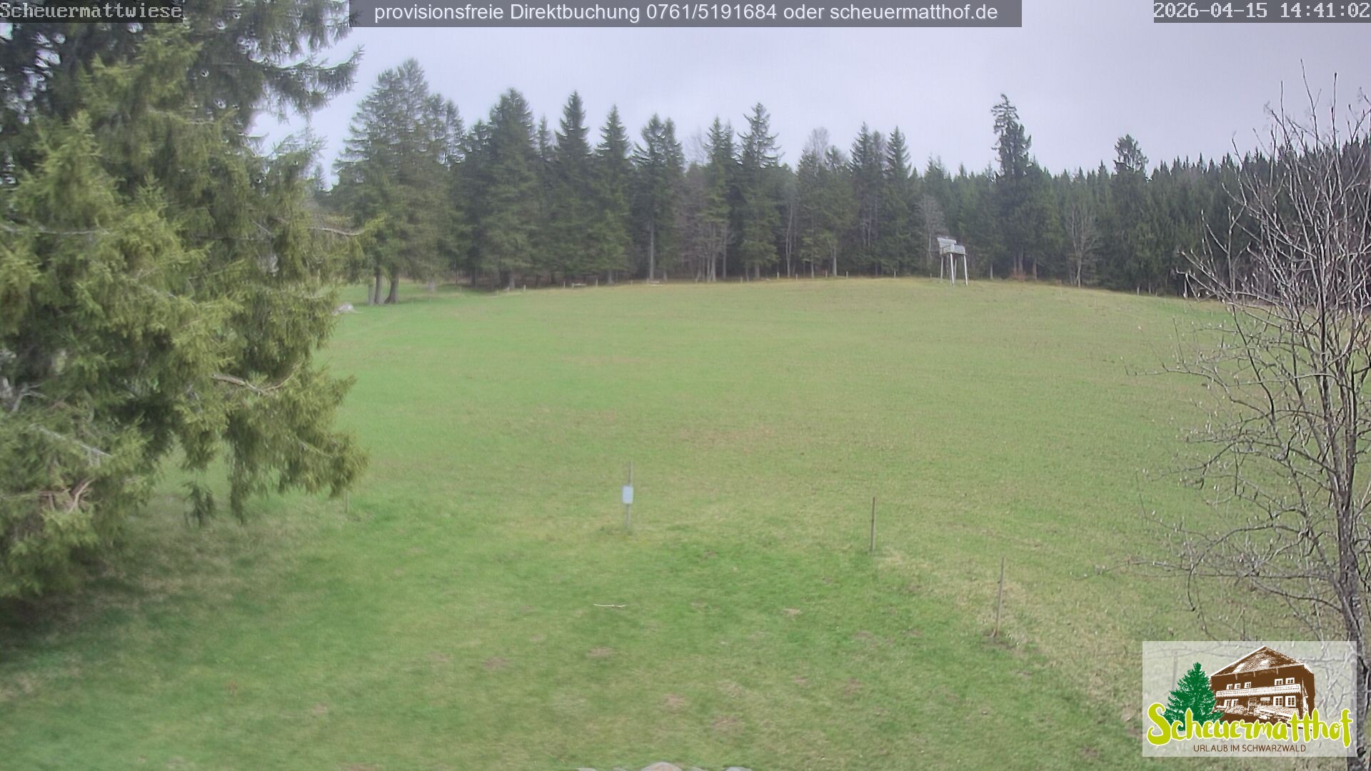 Archived image Webcam Todtnauberg - Scheuermatthof