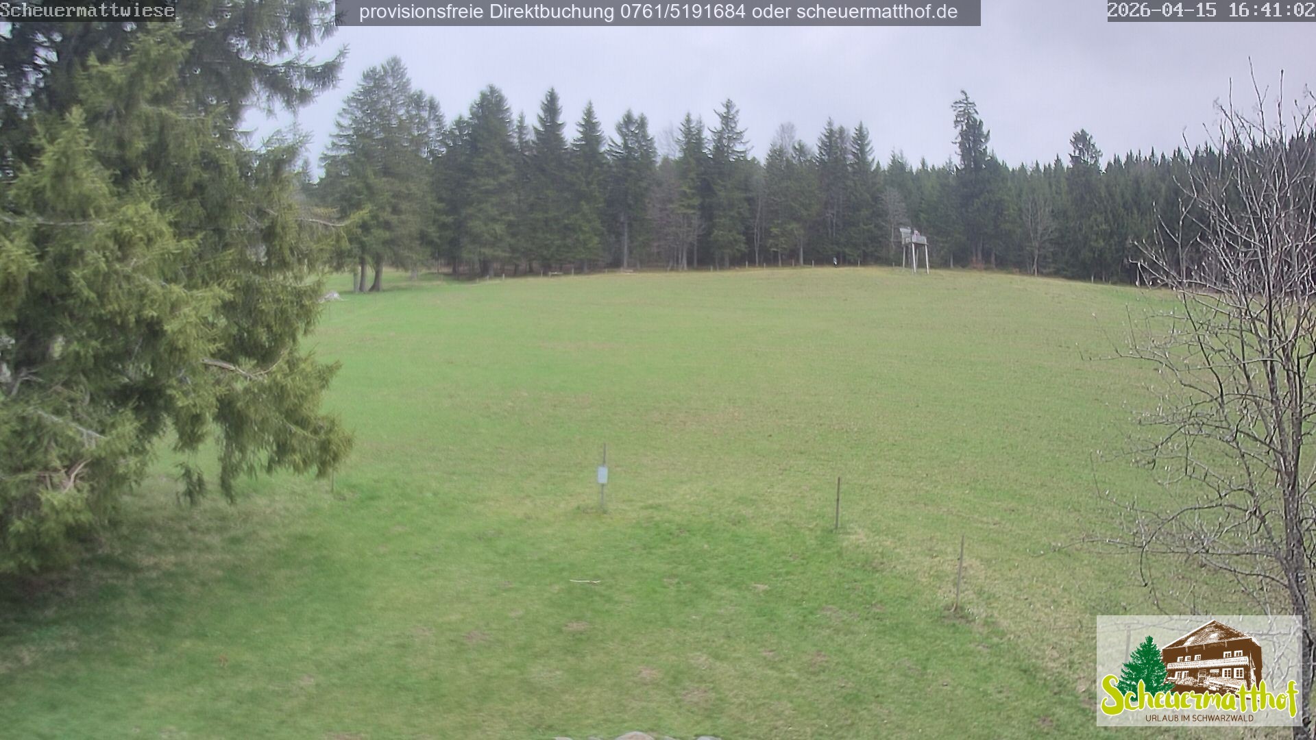 Archived image Webcam Todtnauberg - Scheuermatthof