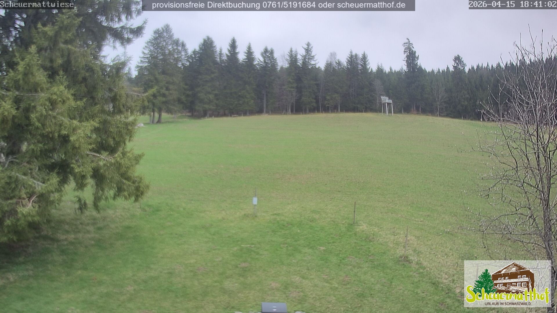 Archived image Webcam Todtnauberg - Scheuermatthof