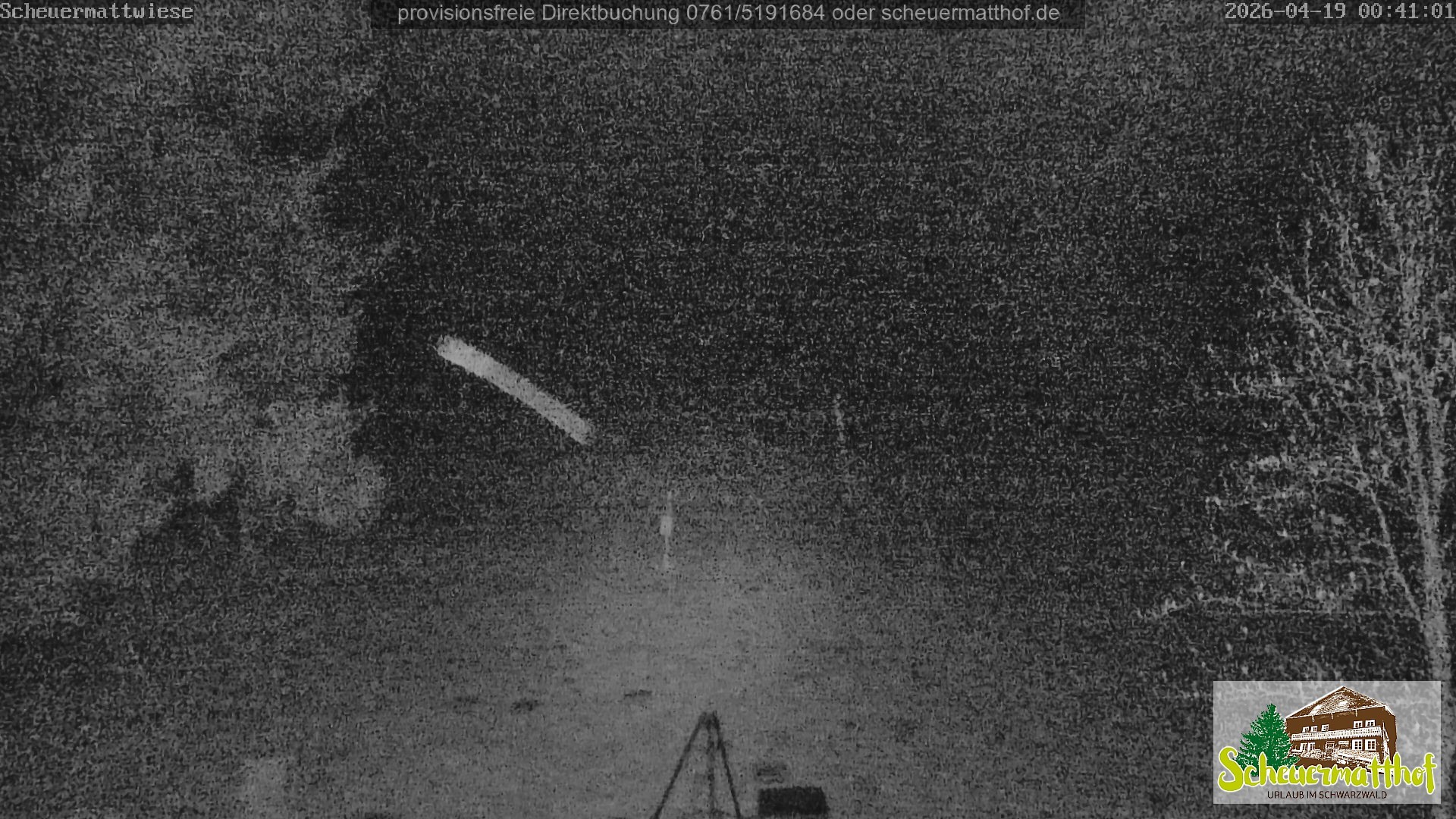 Archiv Foto Webcam Todtnauberg - Scheuermattwiese