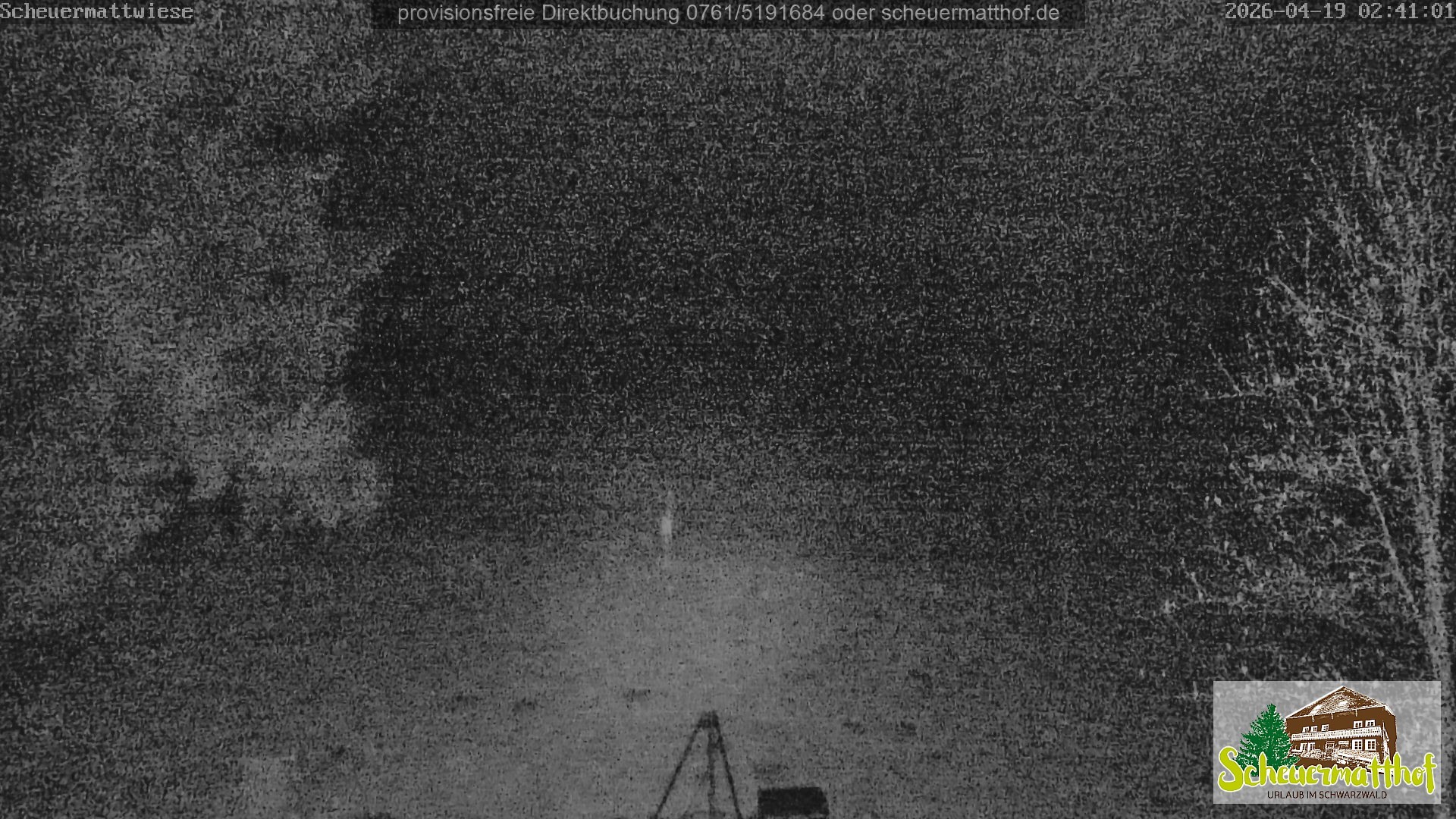 Archiv Foto Webcam Todtnauberg - Scheuermattwiese