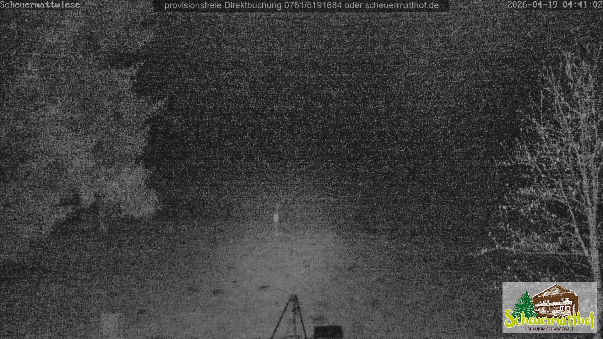 Archiv Foto Webcam Todtnauberg - Scheuermattwiese