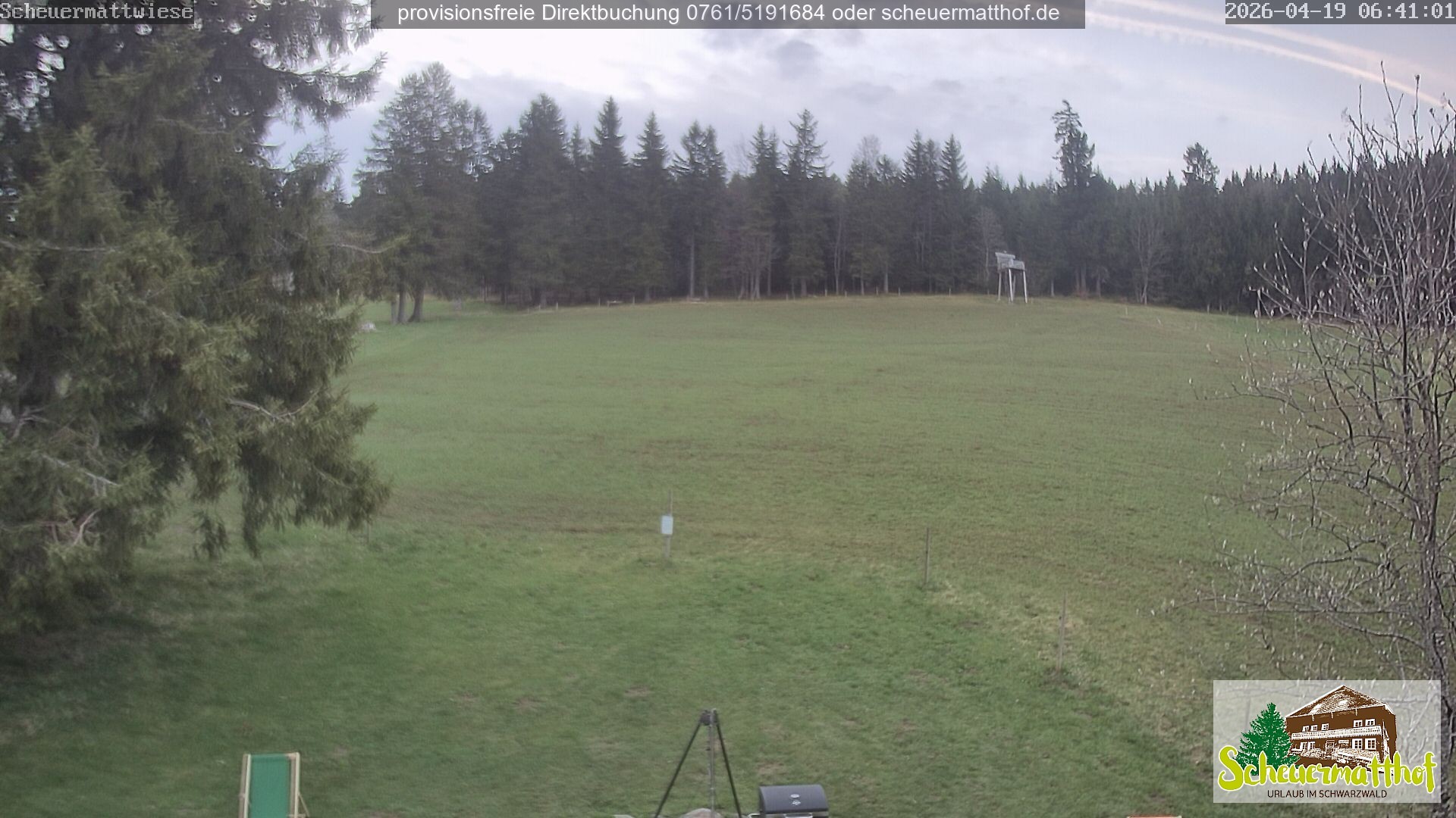 Archiv Foto Webcam Todtnauberg - Scheuermattwiese