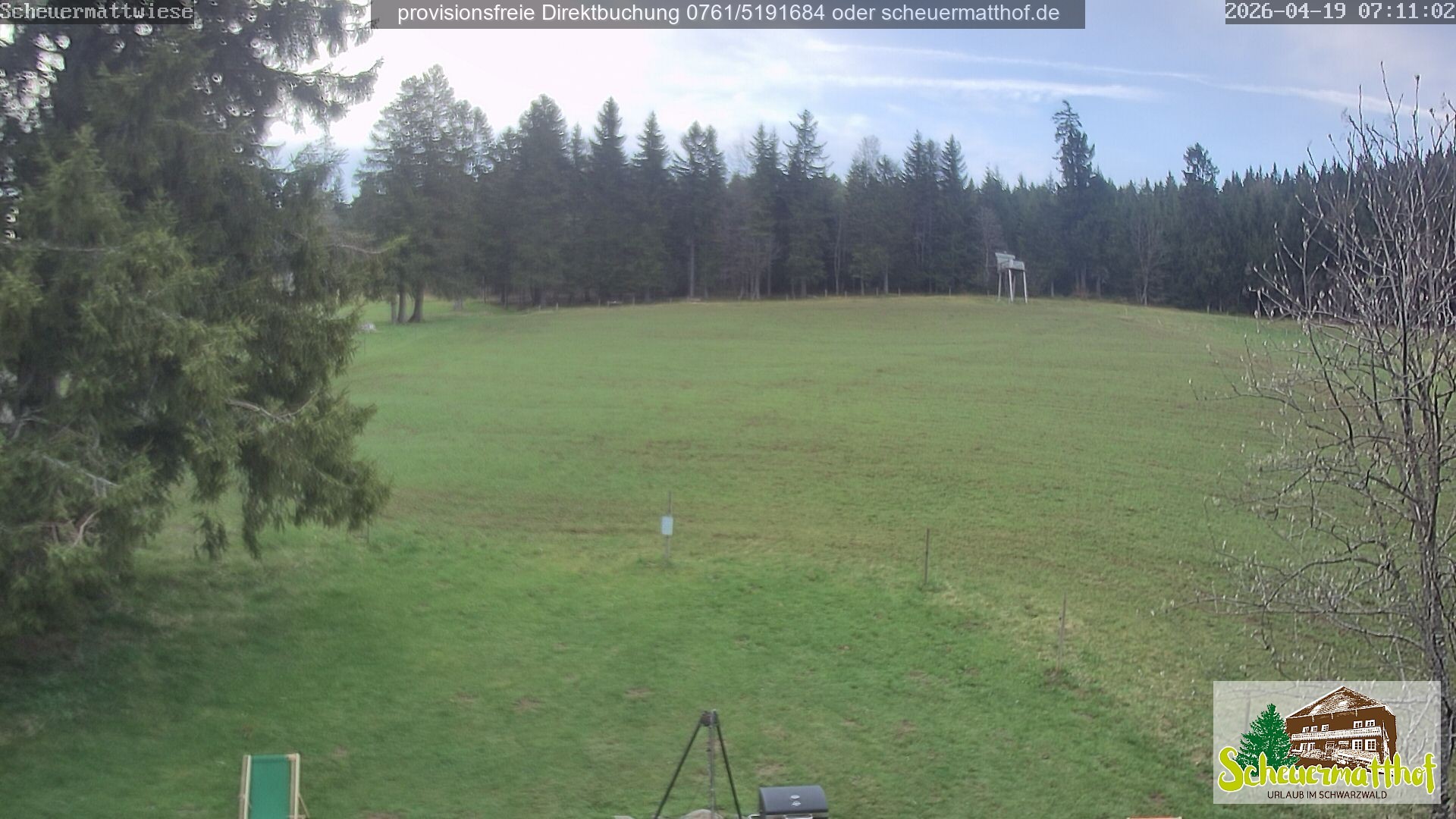 Archiv Foto Webcam Todtnauberg - Scheuermattwiese