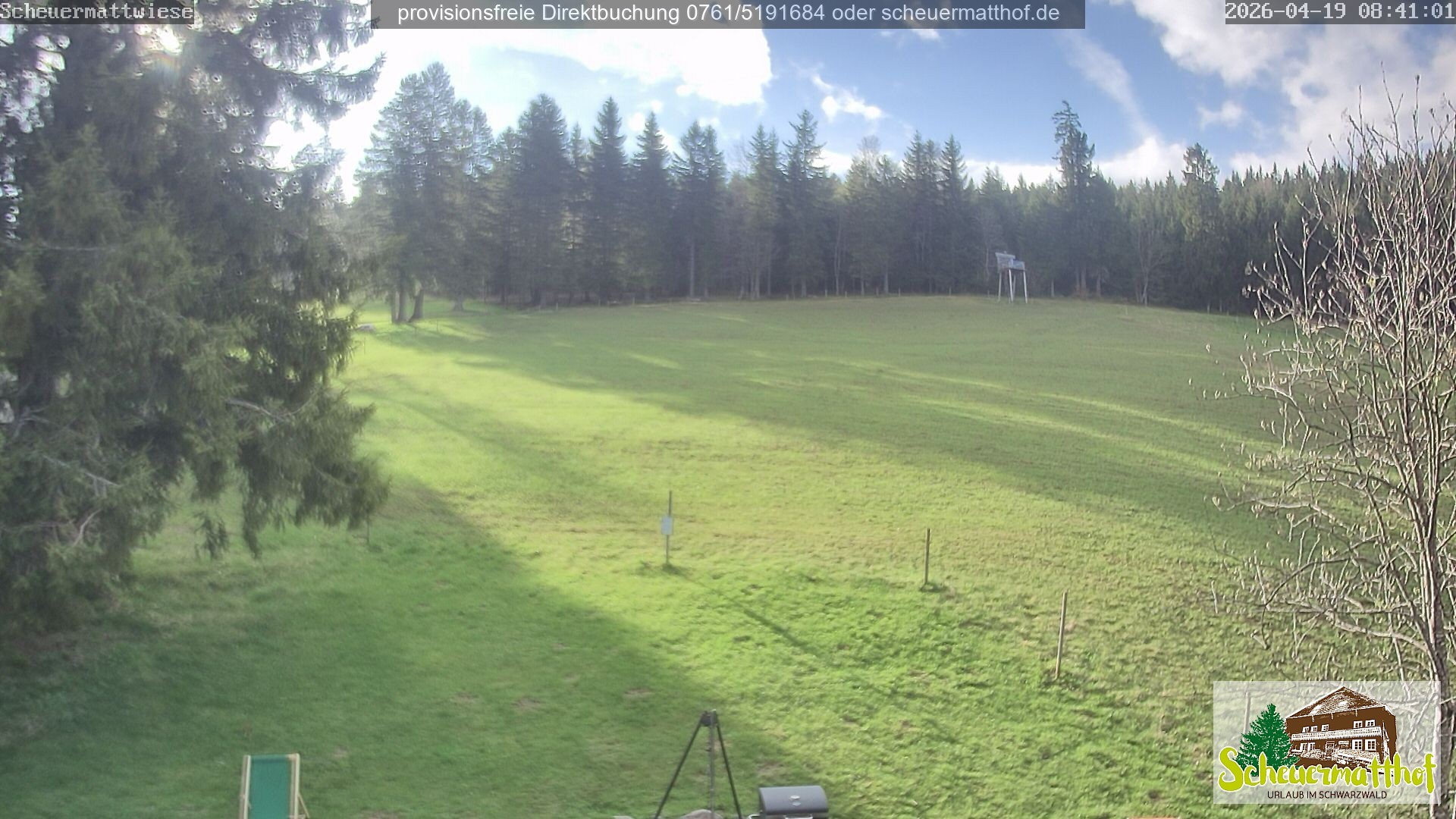 Archiv Foto Webcam Todtnauberg - Scheuermattwiese