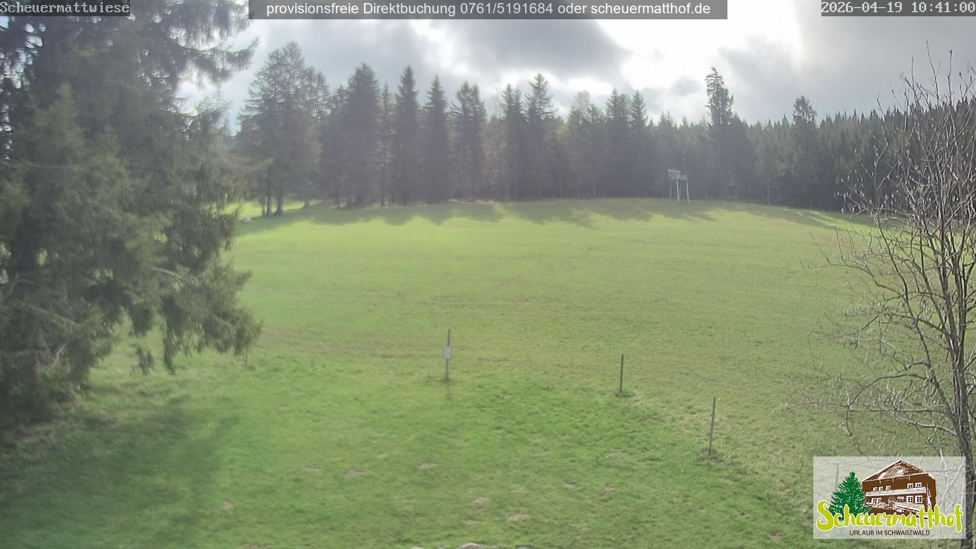 Archiv Foto Webcam Todtnauberg - Scheuermattwiese