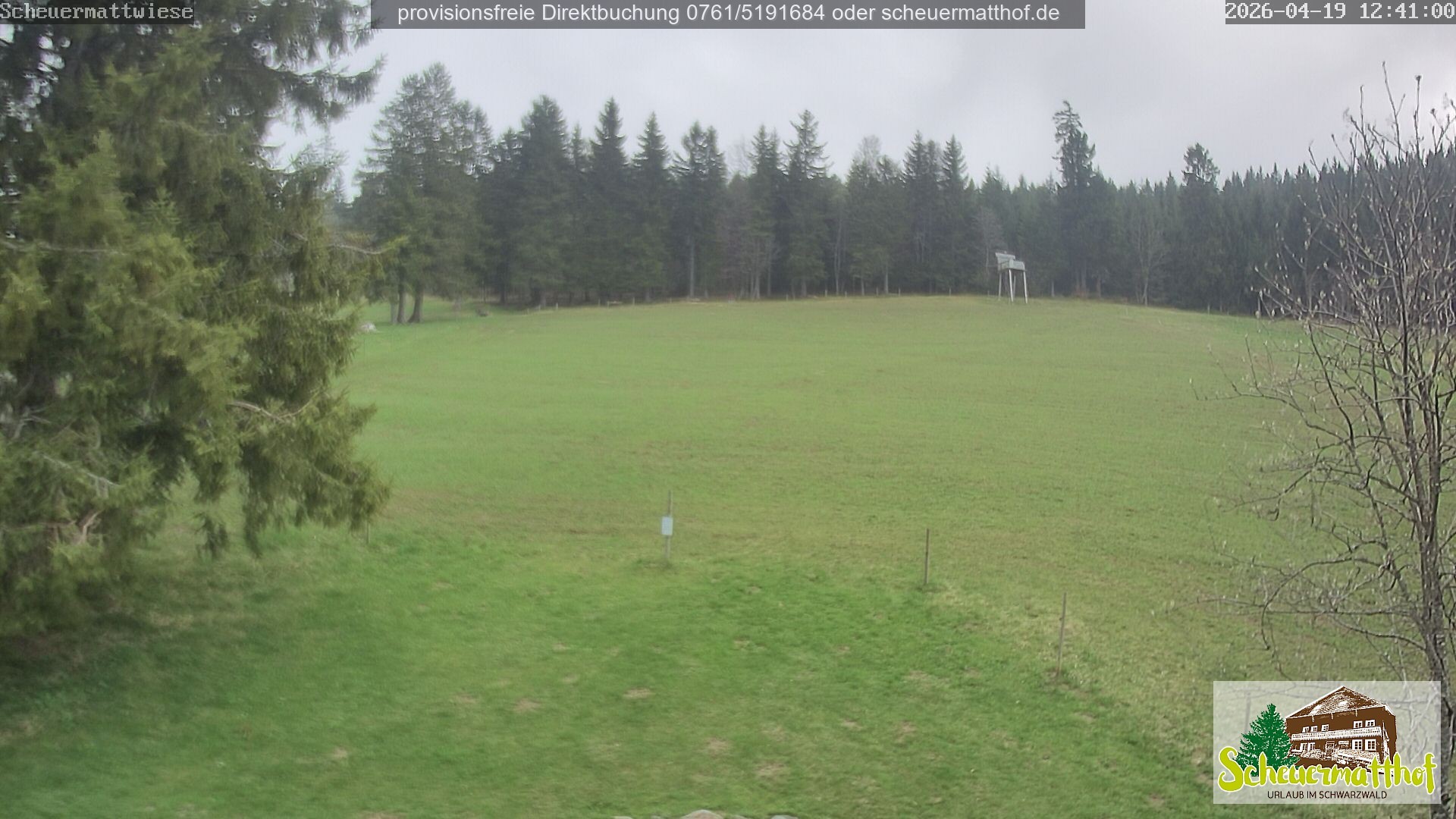 Archiv Foto Webcam Todtnauberg - Scheuermattwiese