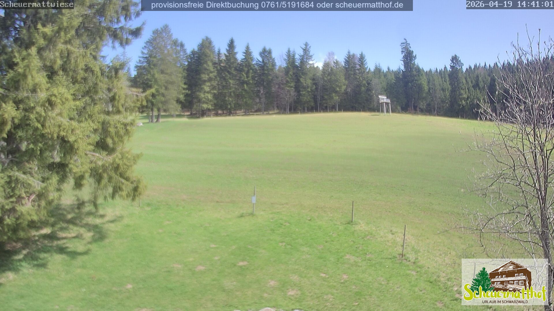 Archiv Foto Webcam Todtnauberg - Scheuermattwiese