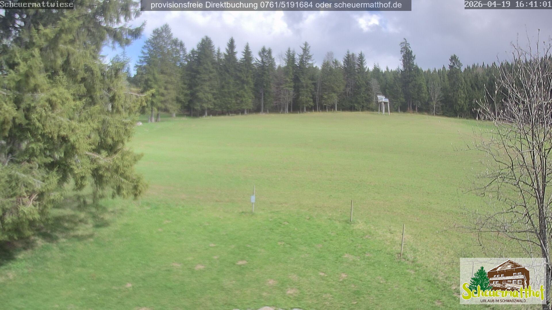 Archiv Foto Webcam Todtnauberg - Scheuermattwiese