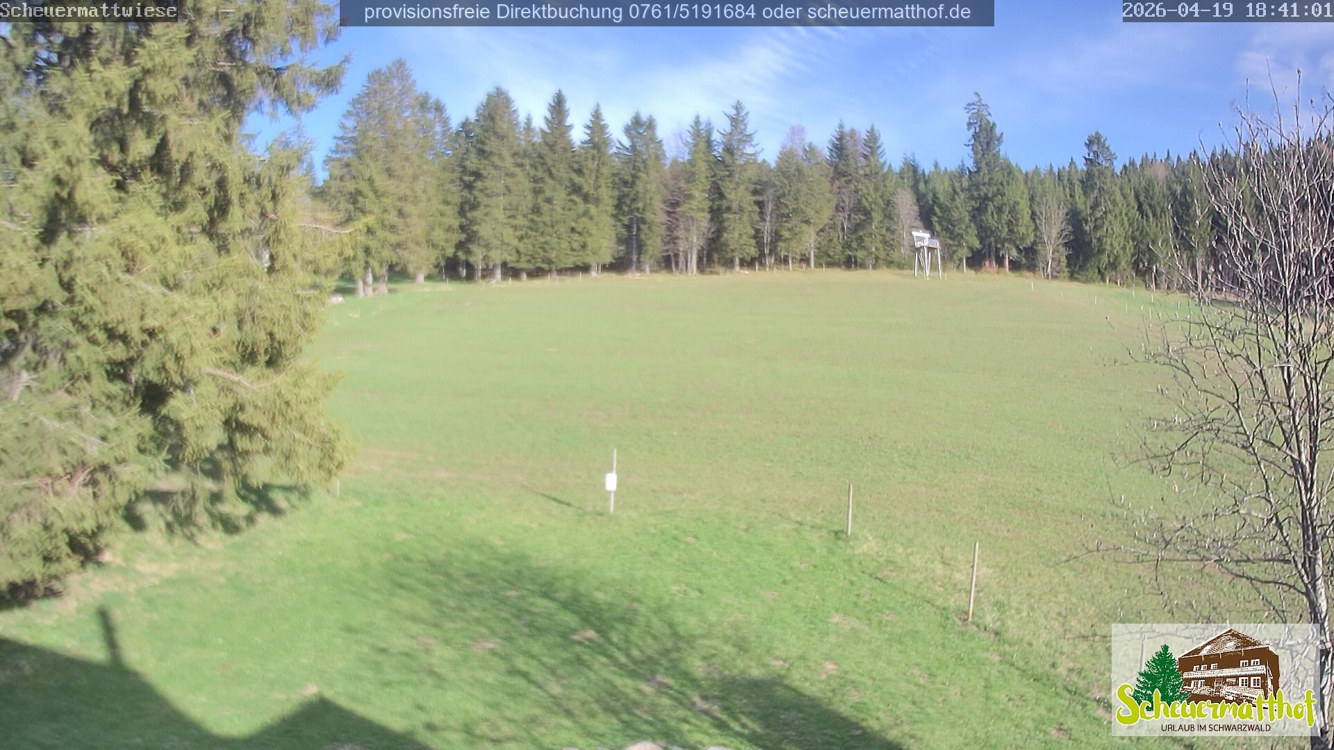 Archiv Foto Webcam Todtnauberg - Scheuermattwiese