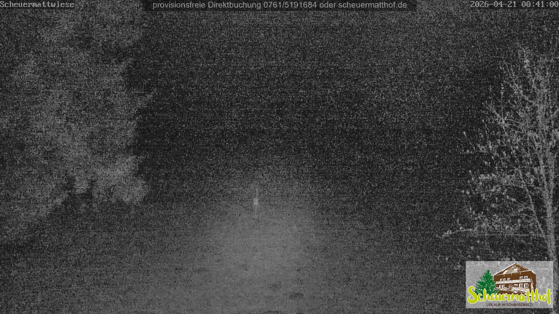 Archiv Foto Webcam Todtnauberg - Scheuermattwiese