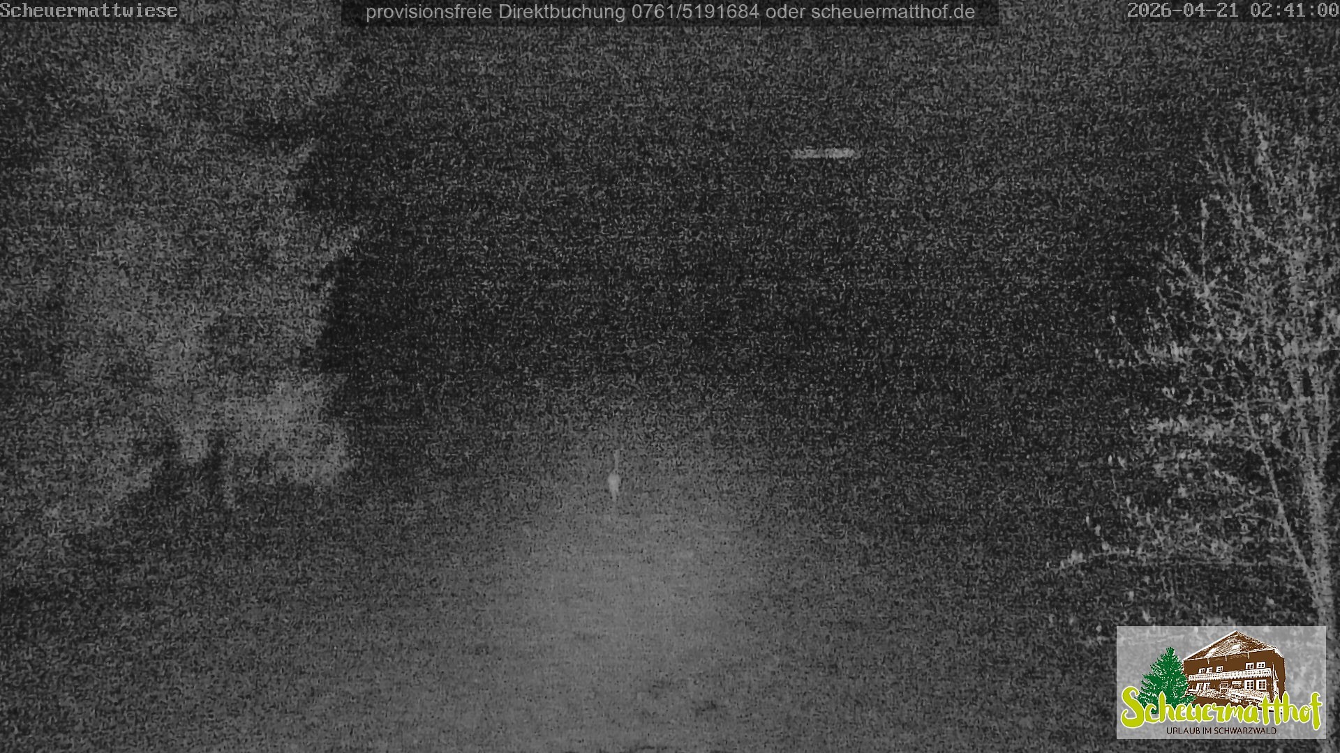 Archiv Foto Webcam Todtnauberg - Scheuermattwiese