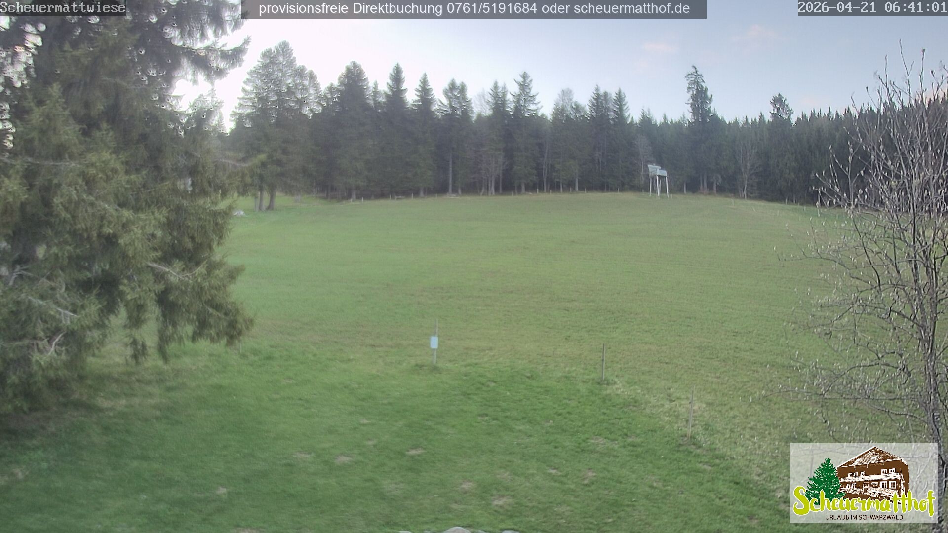 Archiv Foto Webcam Todtnauberg - Scheuermattwiese