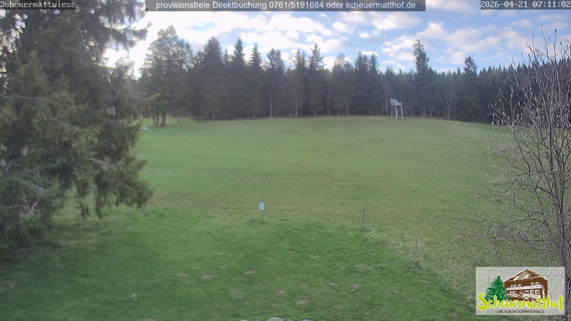 Archiv Foto Webcam Todtnauberg - Scheuermattwiese