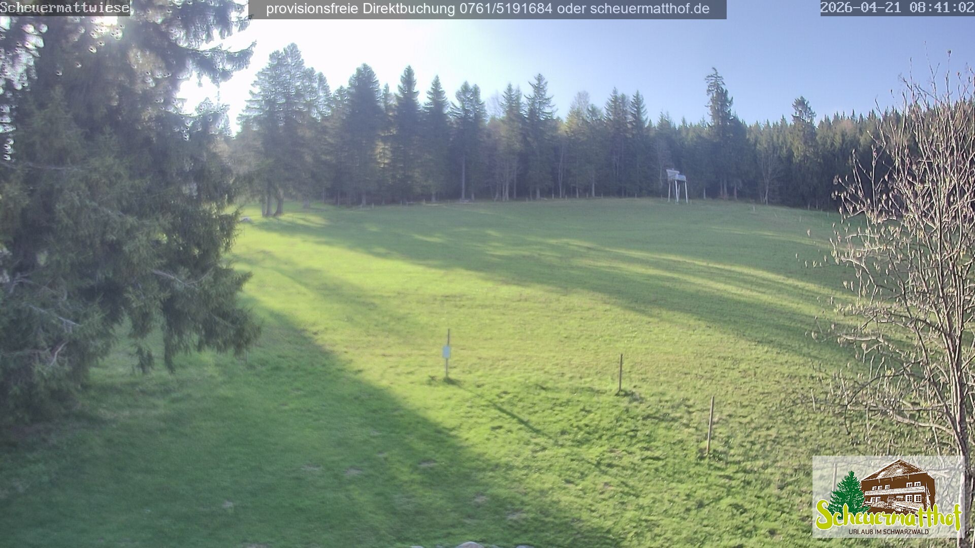 Archiv Foto Webcam Todtnauberg - Scheuermattwiese