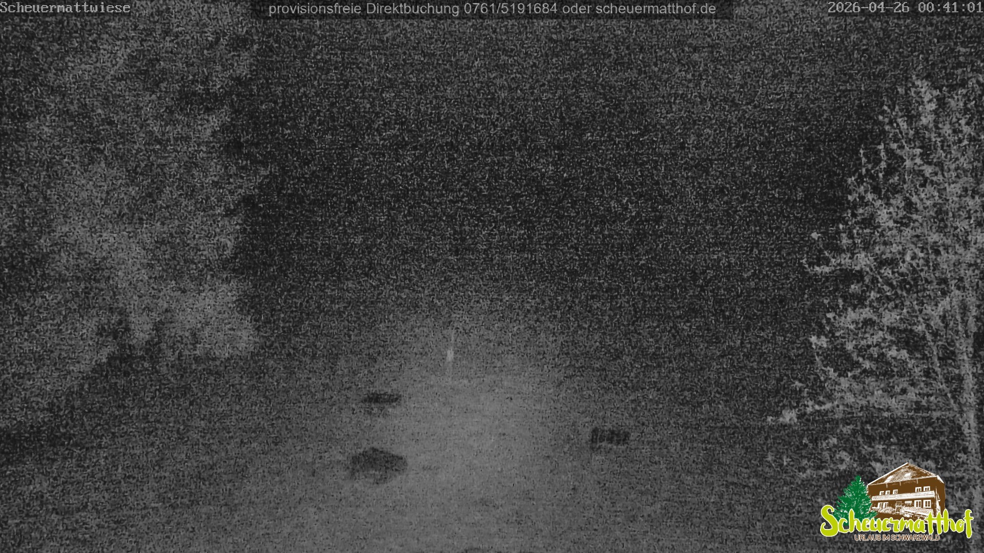 Archived image Webcam Todtnauberg - Scheuermatthof