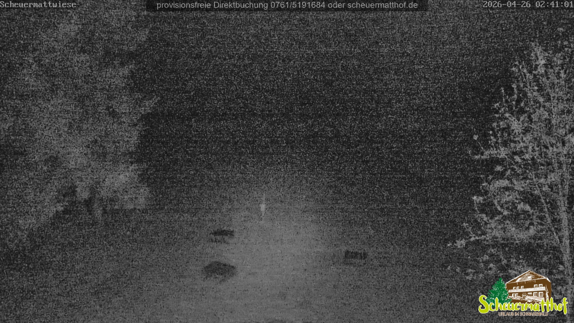 Archived image Webcam Todtnauberg - Scheuermatthof