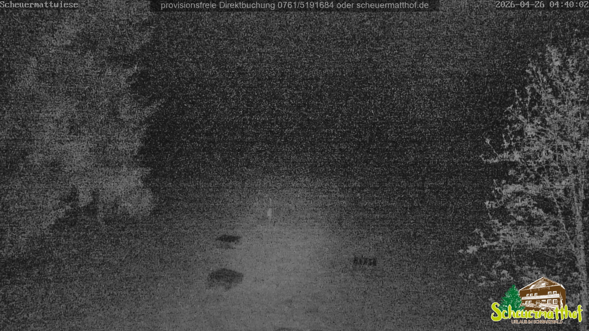 Archived image Webcam Todtnauberg - Scheuermatthof