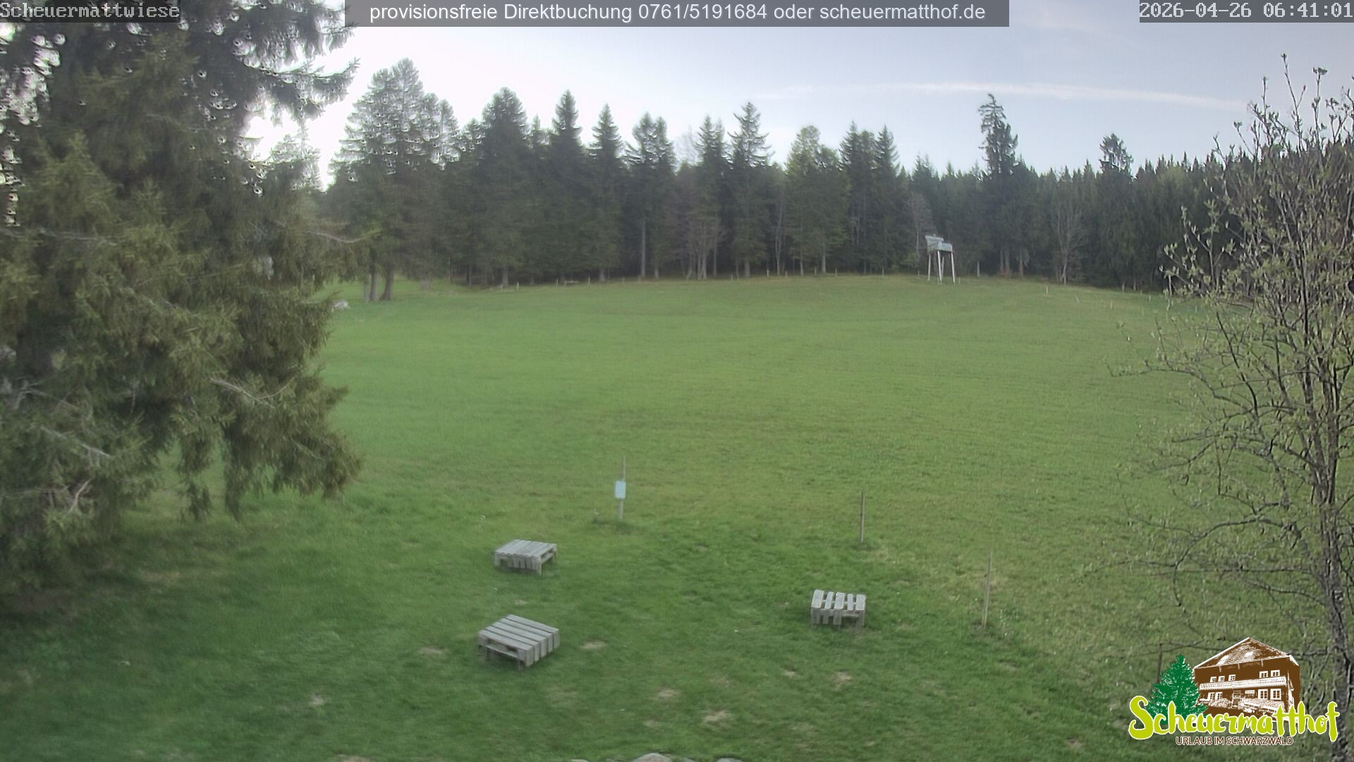 Archived image Webcam Todtnauberg - Scheuermatthof