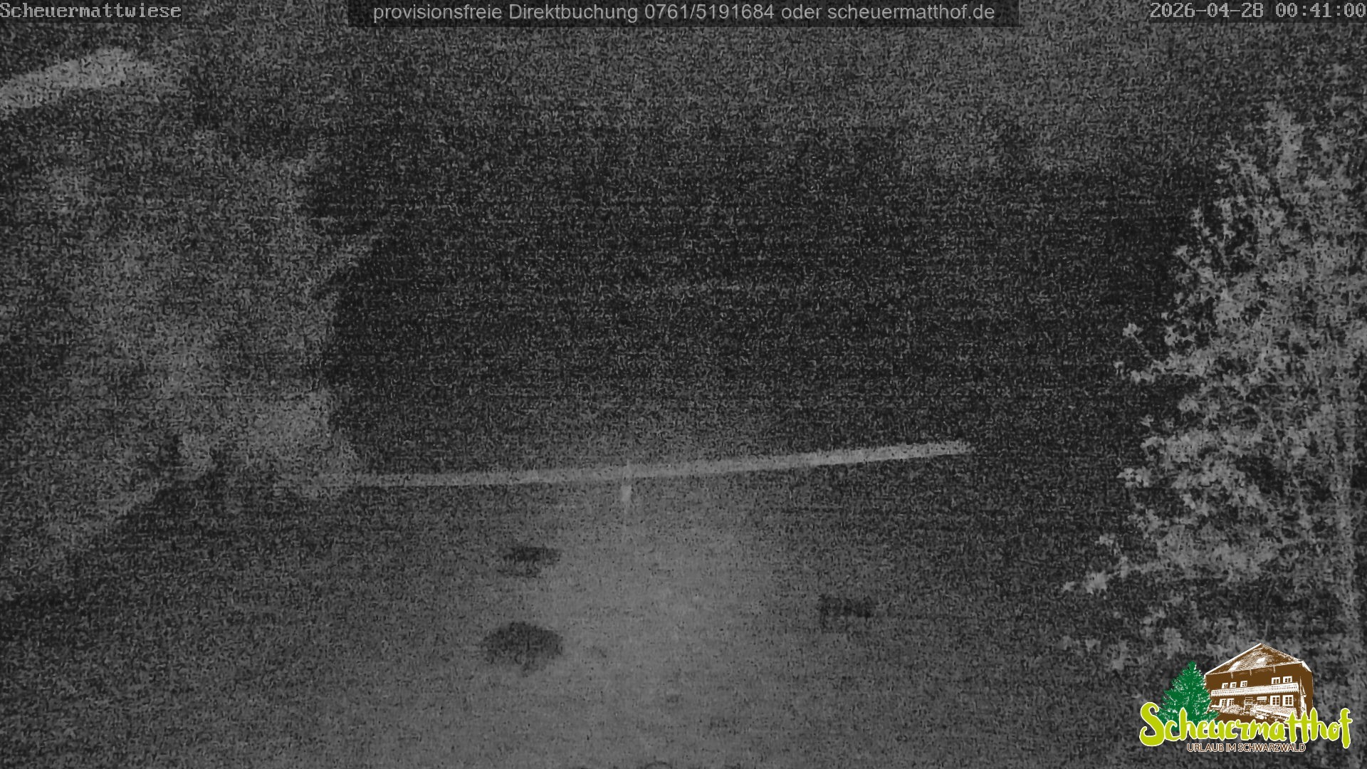 Archived image Webcam Todtnauberg - Scheuermatthof