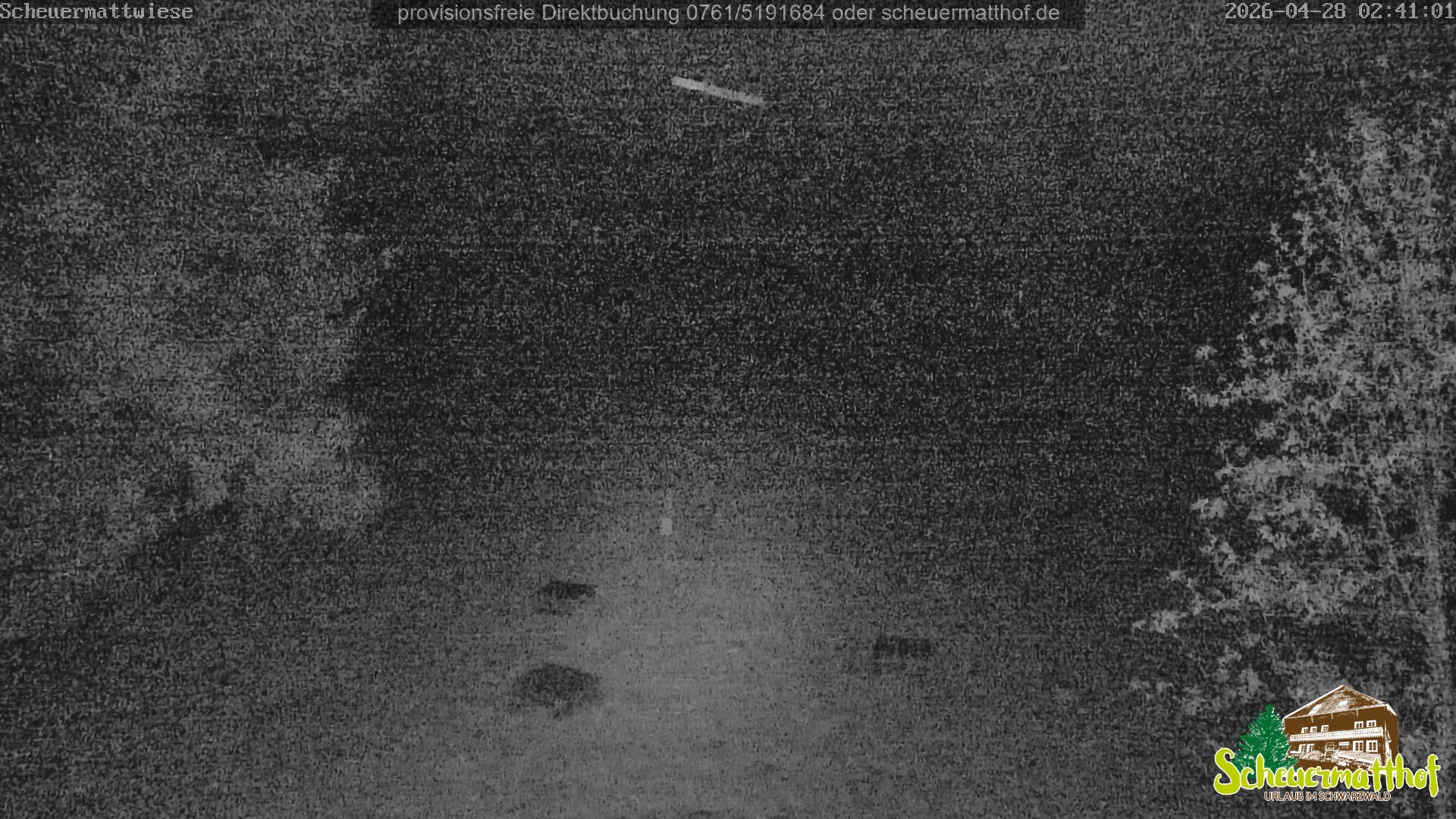 Archived image Webcam Todtnauberg - Scheuermatthof