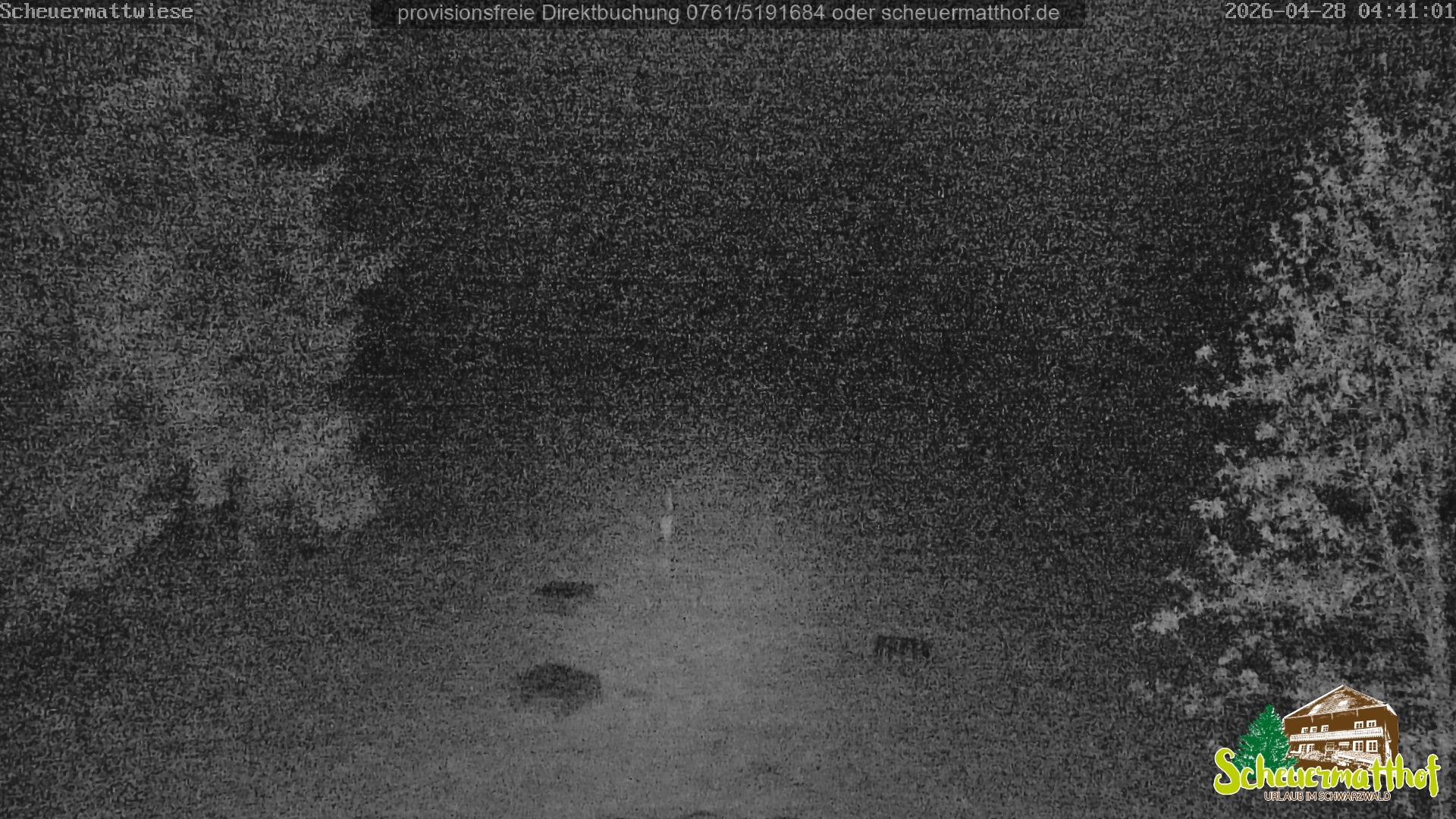 Archived image Webcam Todtnauberg - Scheuermatthof