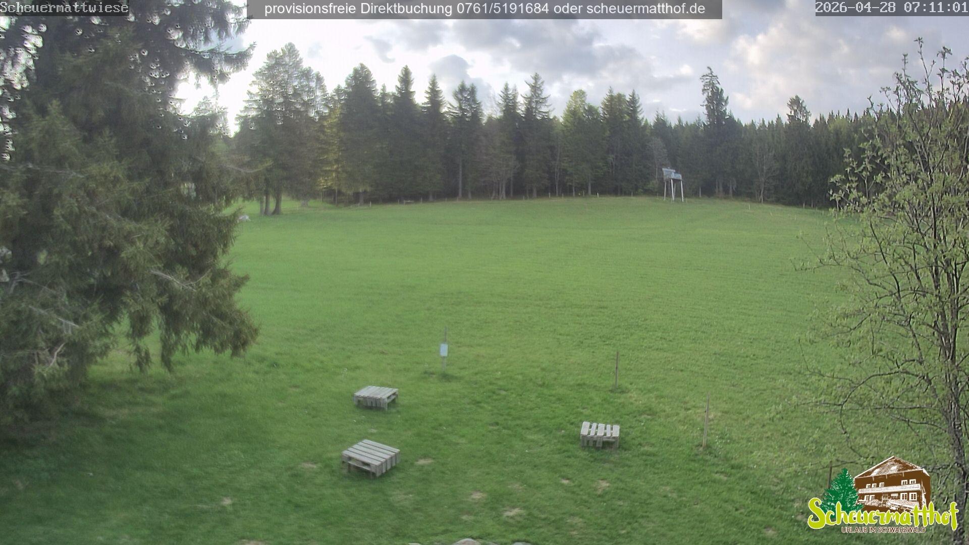 Archived image Webcam Todtnauberg - Scheuermatthof