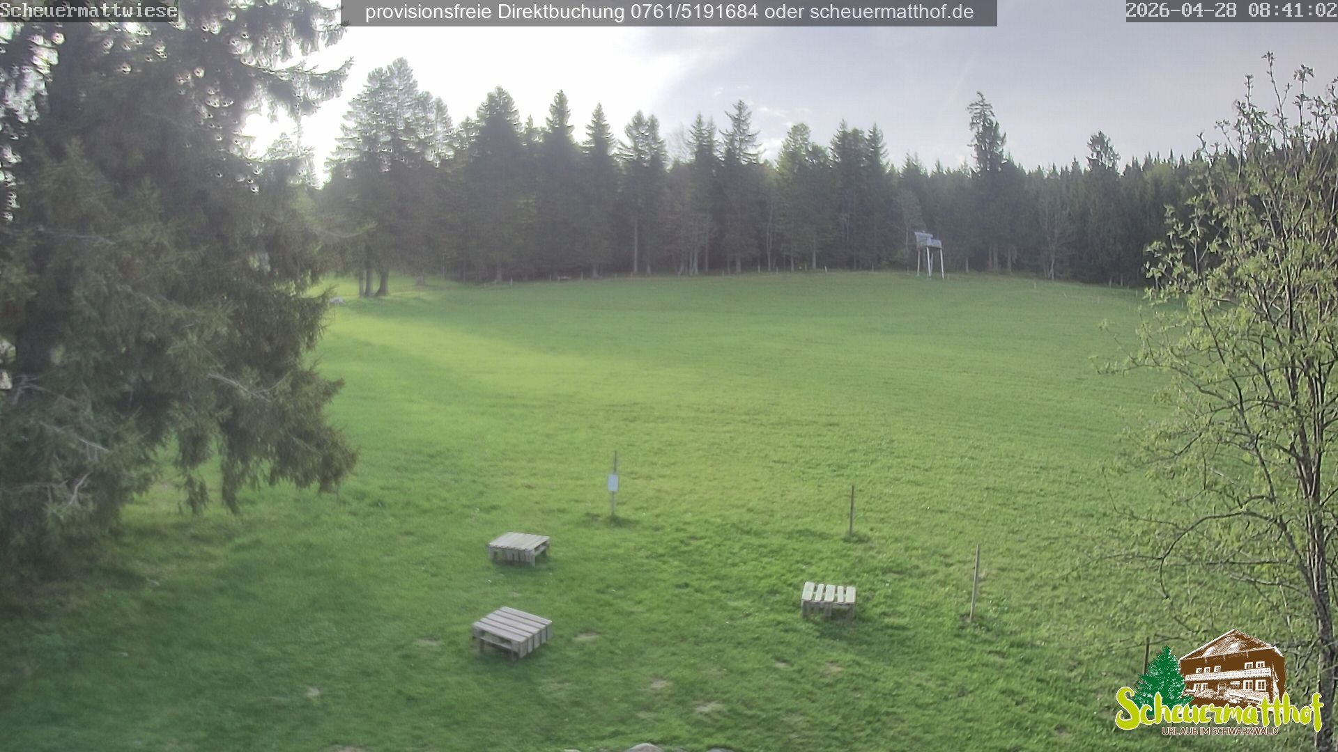 Archived image Webcam Todtnauberg - Scheuermatthof