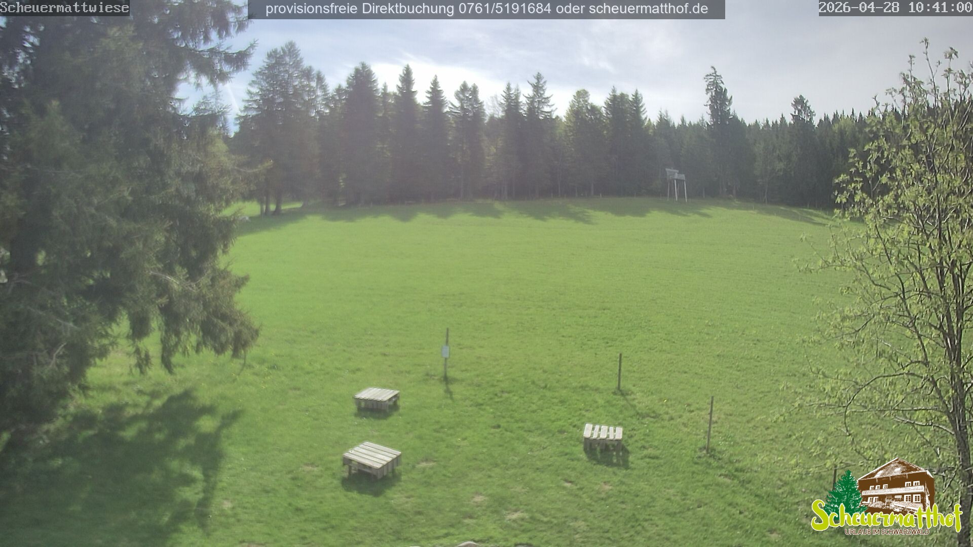 Archived image Webcam Todtnauberg - Scheuermatthof