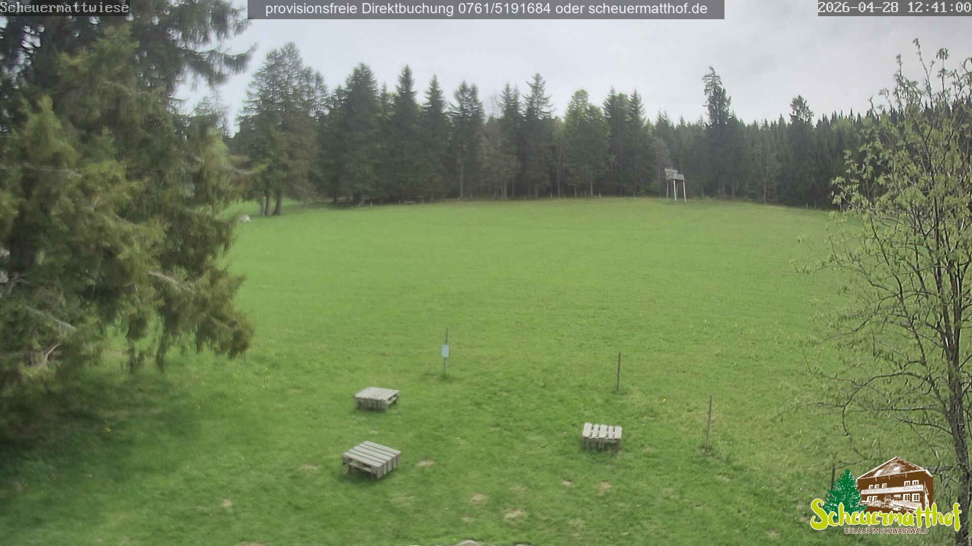 Archived image Webcam Todtnauberg - Scheuermatthof