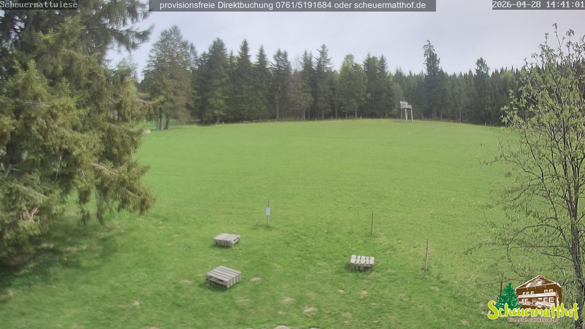 Archived image Webcam Todtnauberg - Scheuermatthof