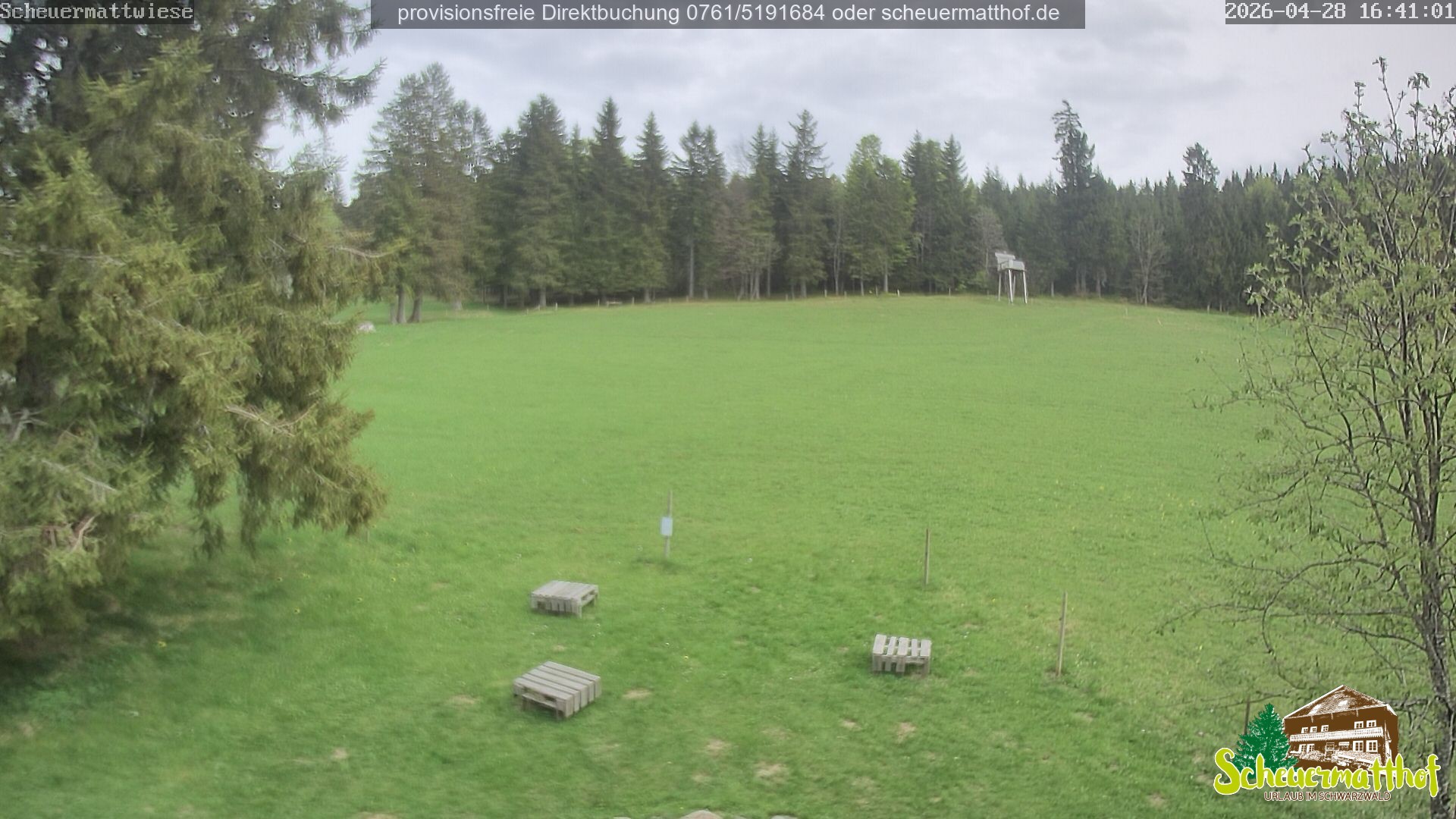 Archived image Webcam Todtnauberg - Scheuermatthof