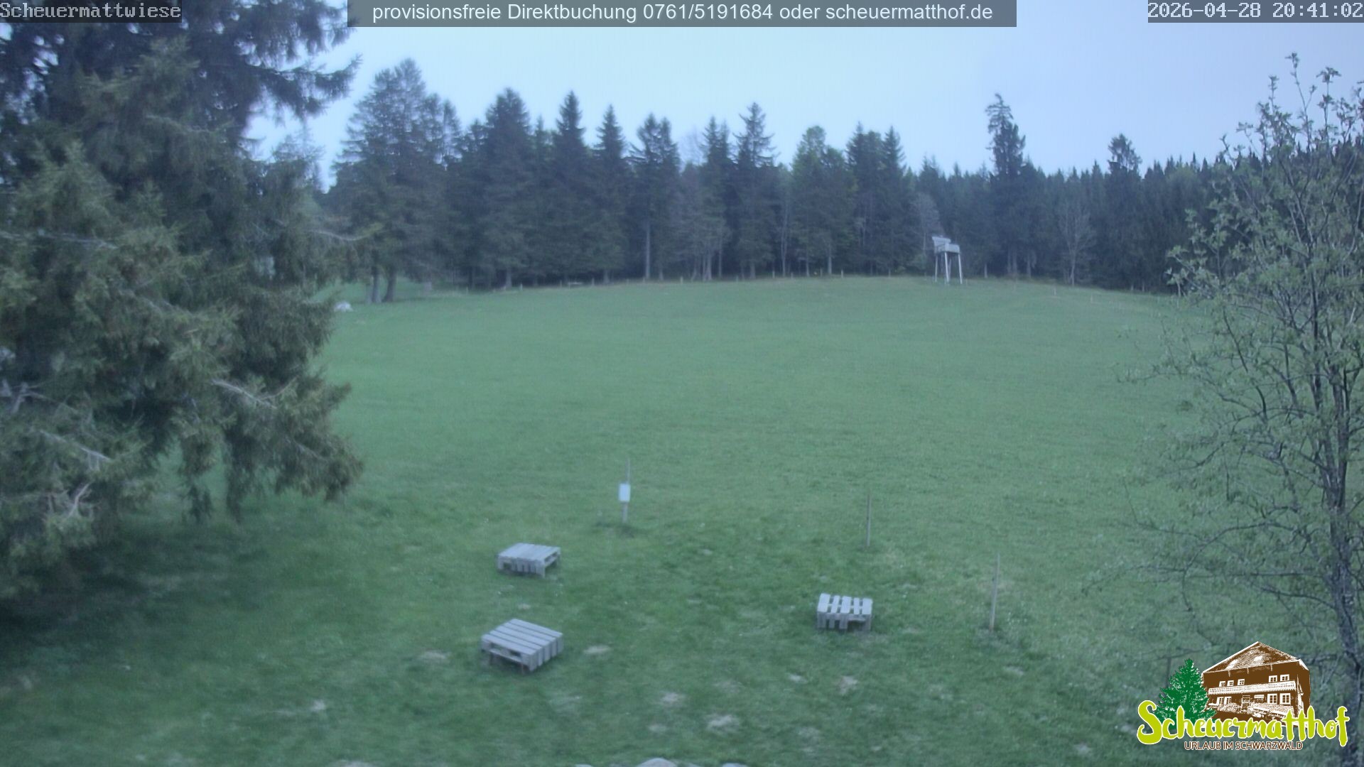 Archived image Webcam Todtnauberg - Scheuermatthof