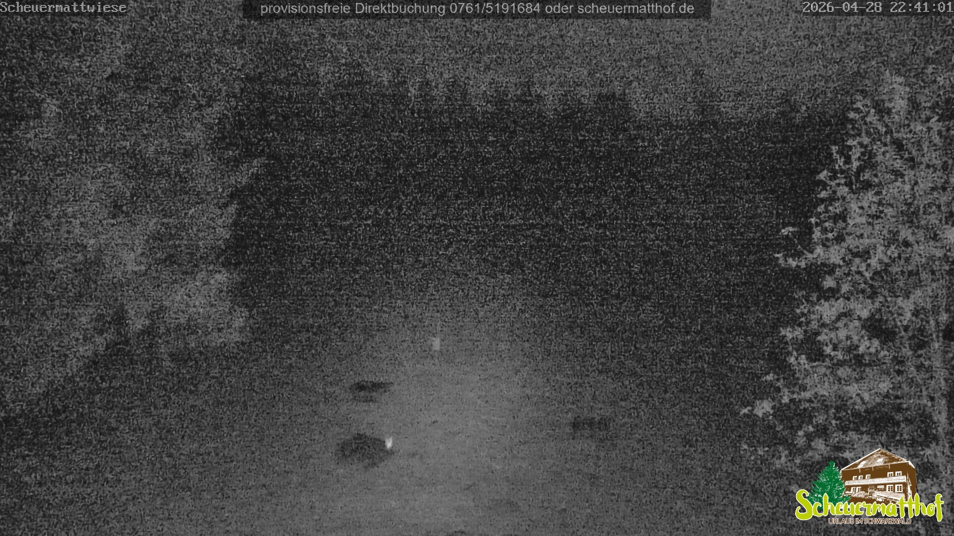 Archived image Webcam Todtnauberg - Scheuermatthof