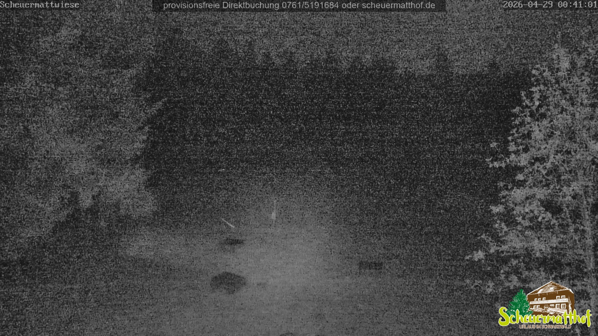 Archiv Foto Webcam Todtnauberg - Scheuermattwiese