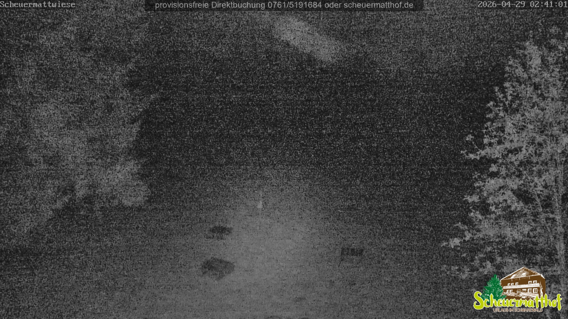 Archiv Foto Webcam Todtnauberg - Scheuermattwiese