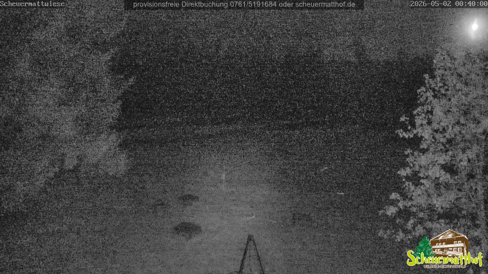 Archiv Foto Webcam Todtnauberg - Scheuermattwiese