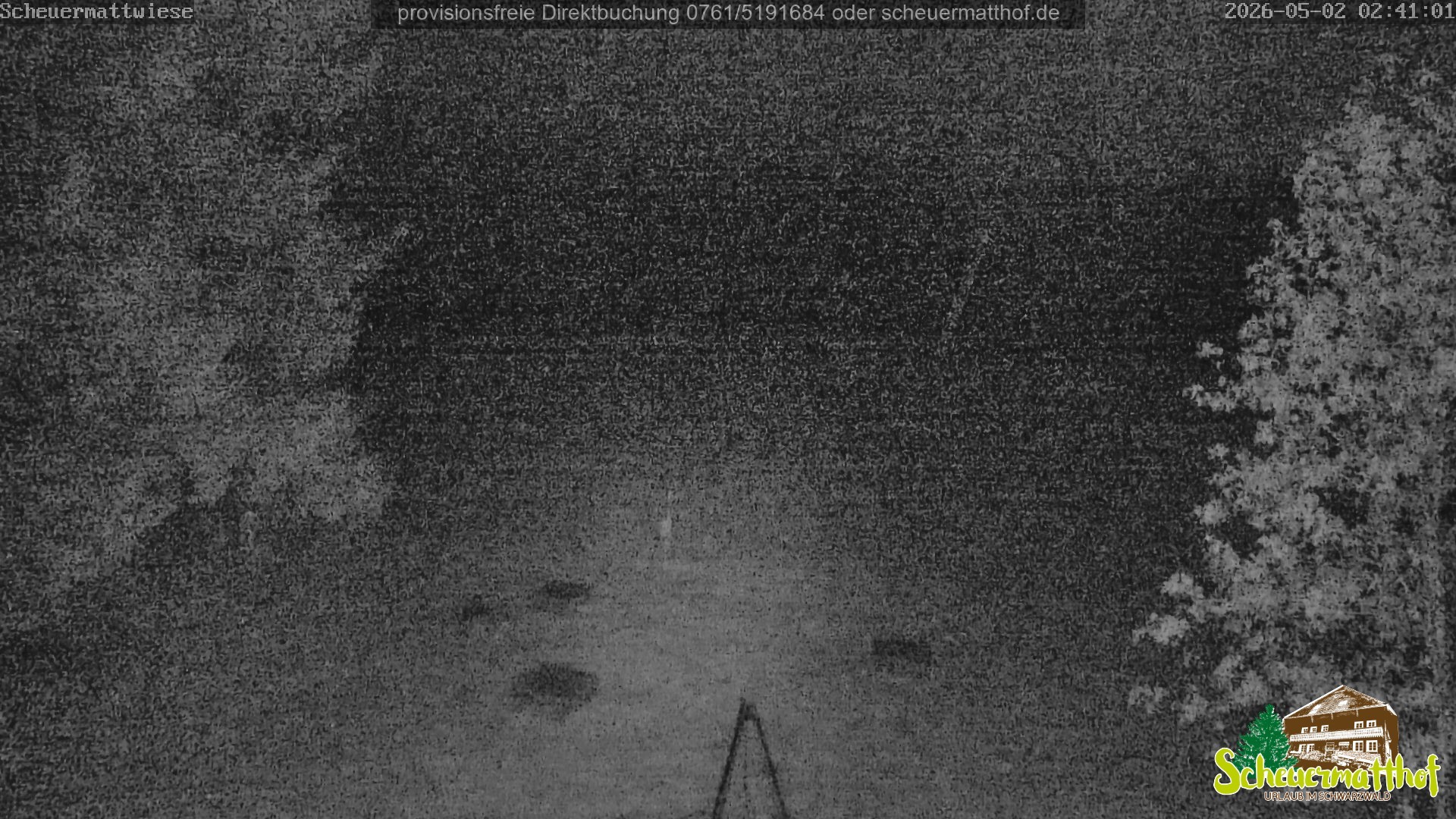 Archiv Foto Webcam Todtnauberg - Scheuermattwiese