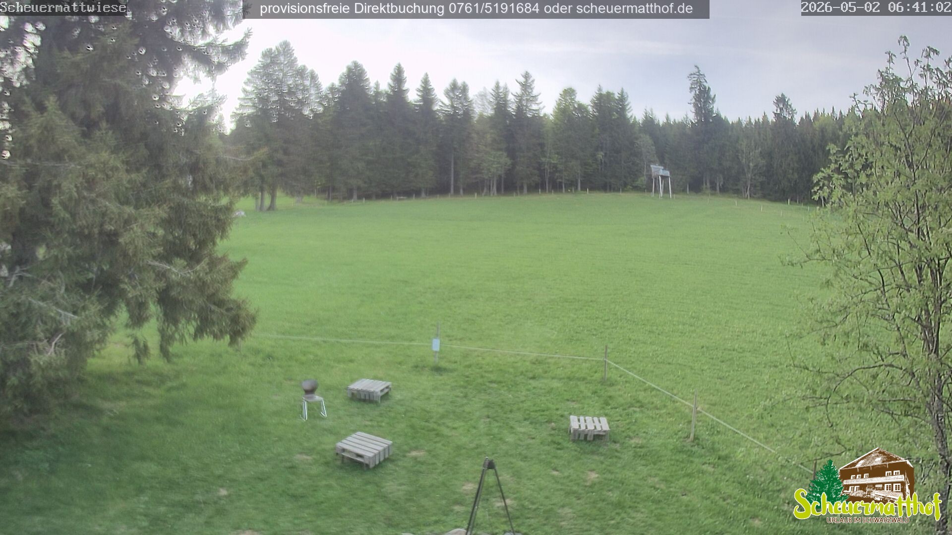 Archiv Foto Webcam Todtnauberg - Scheuermattwiese