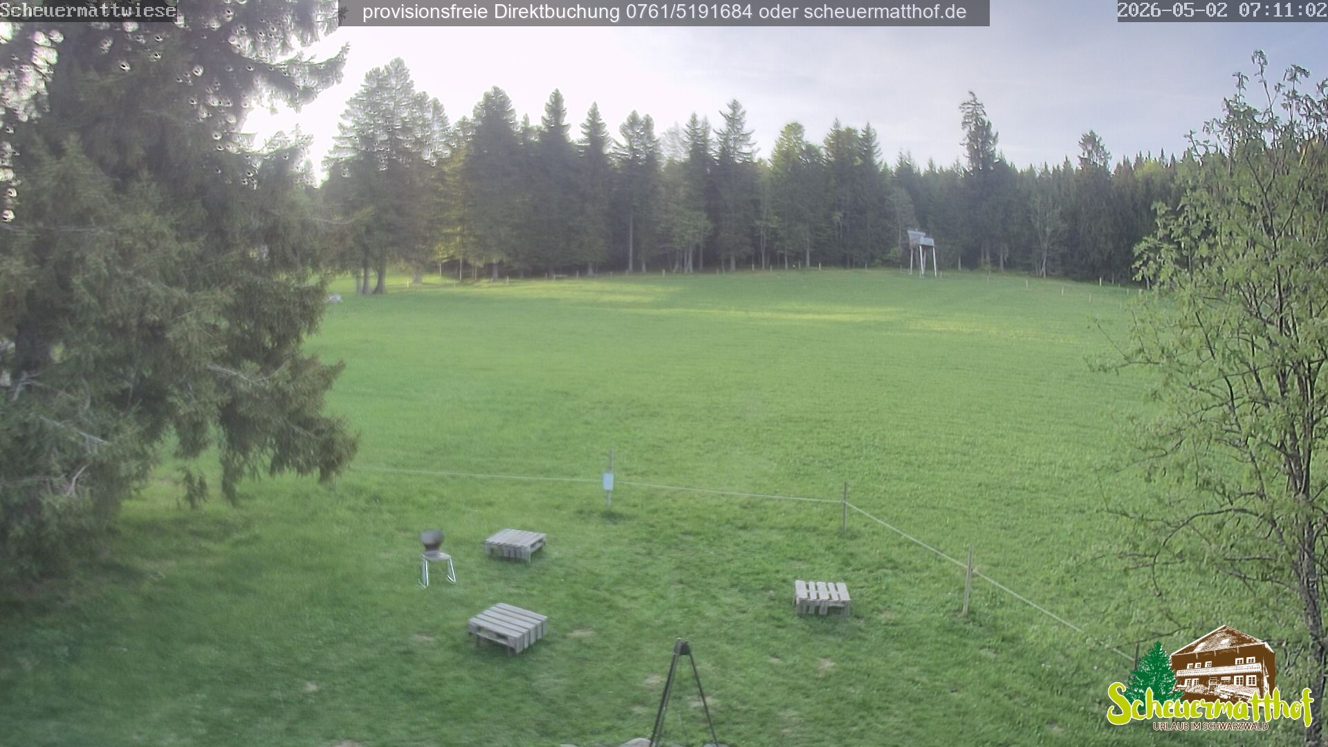 Archiv Foto Webcam Todtnauberg - Scheuermattwiese
