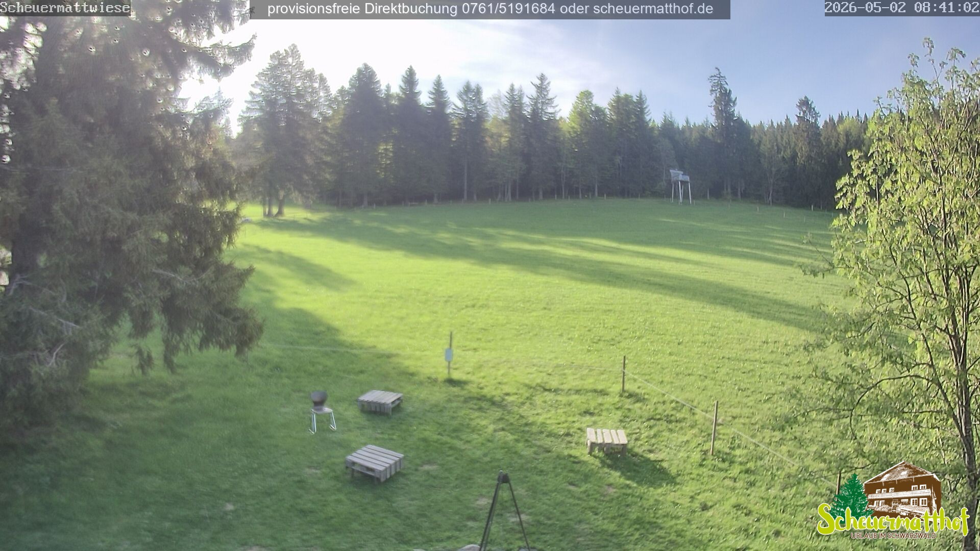 Archiv Foto Webcam Todtnauberg - Scheuermattwiese