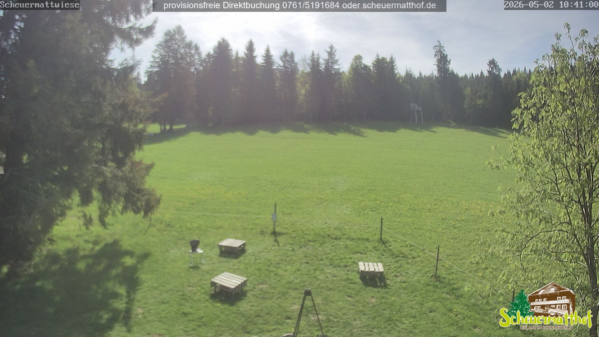 Archiv Foto Webcam Todtnauberg - Scheuermattwiese